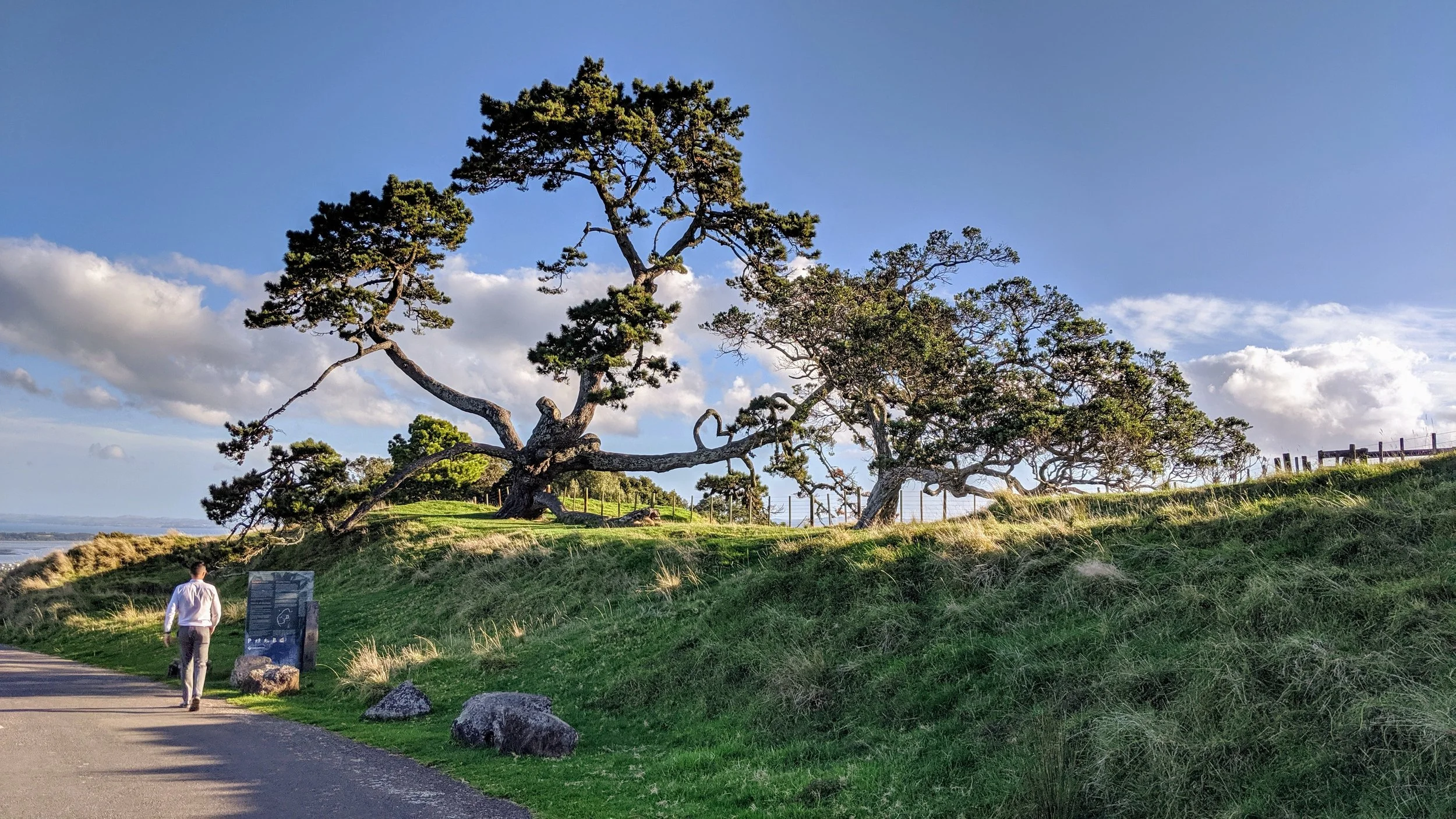 Manukau New Life Church 