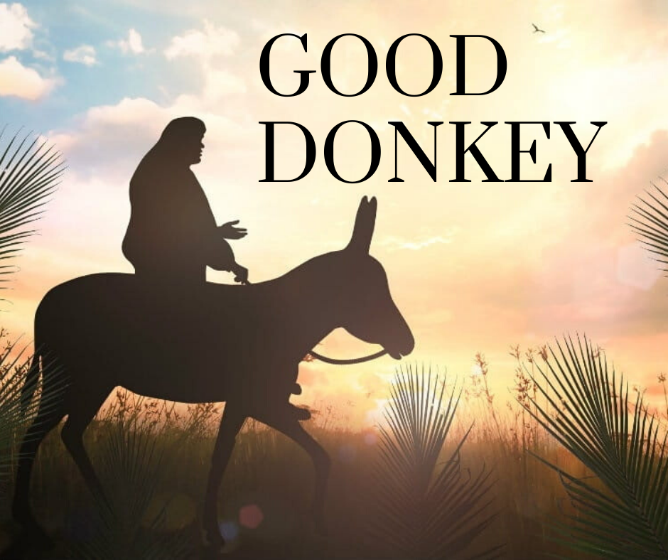 Good Donkey