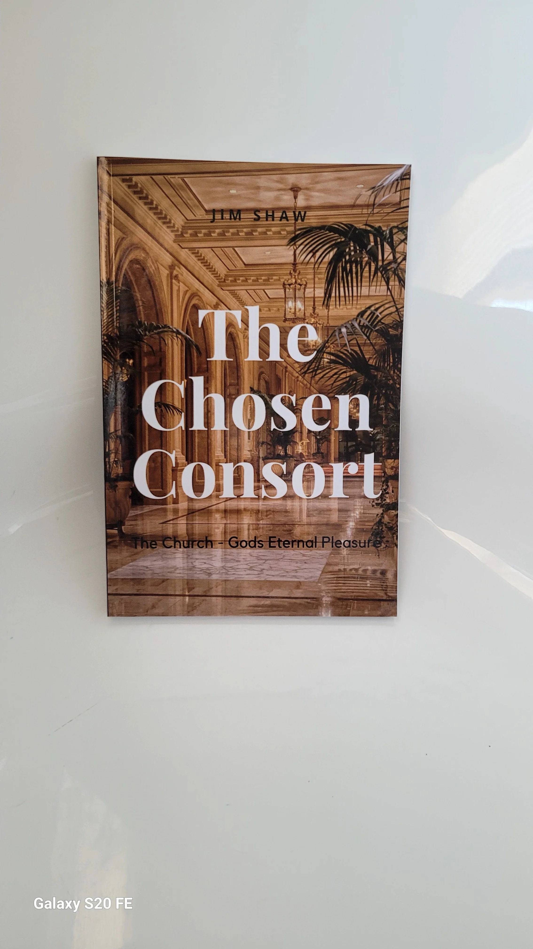 The Chosen Consort