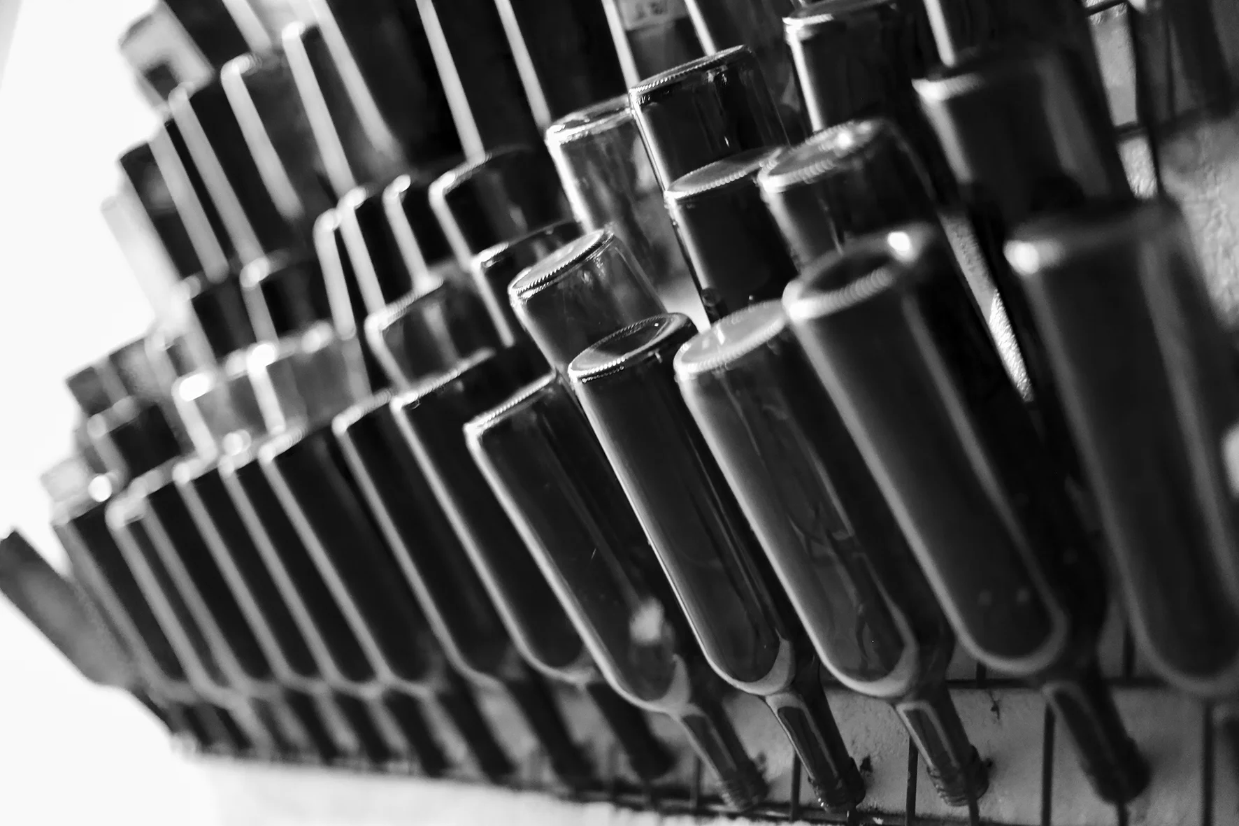 bottles pic.jpg