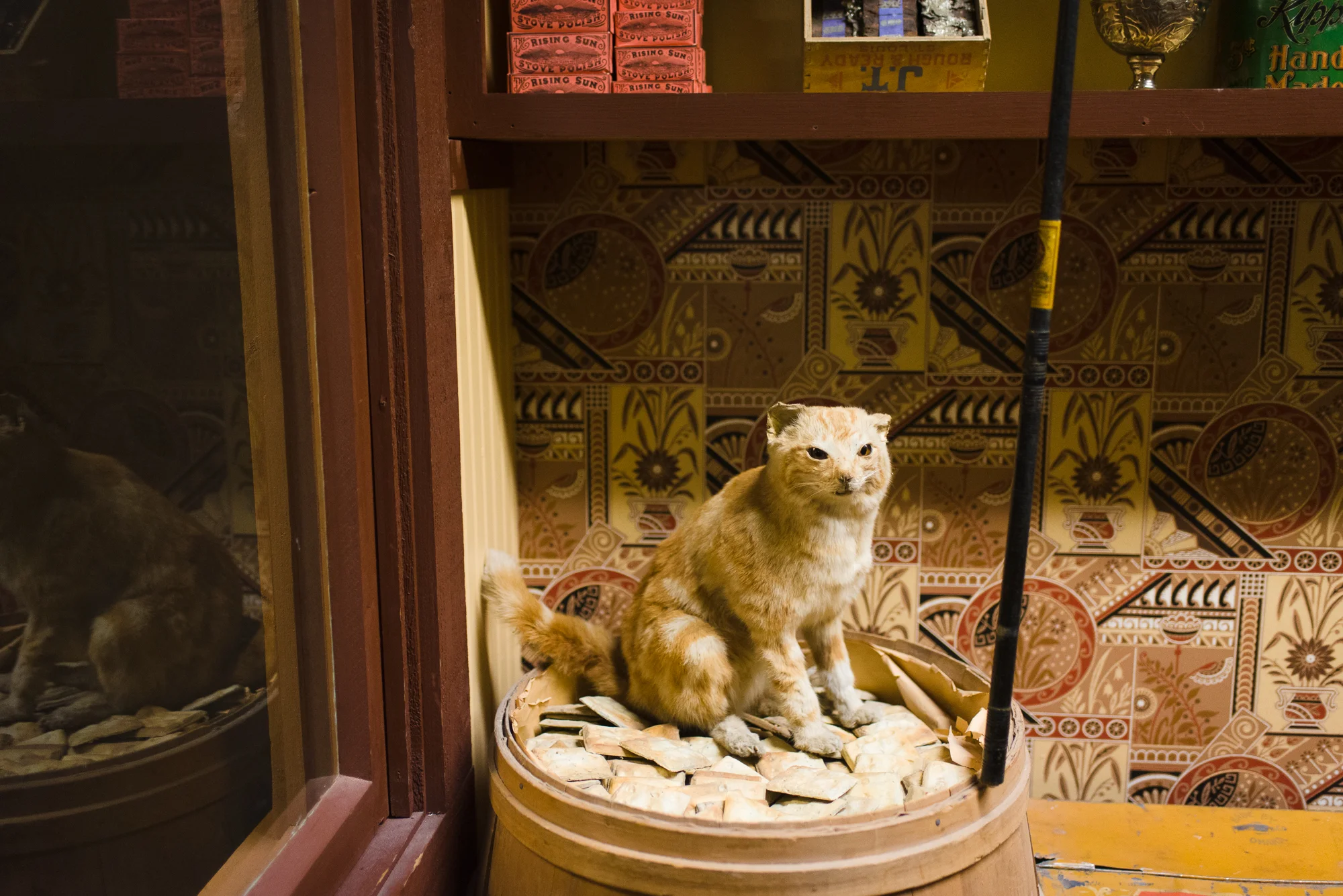 Hastingsmuseuem-12