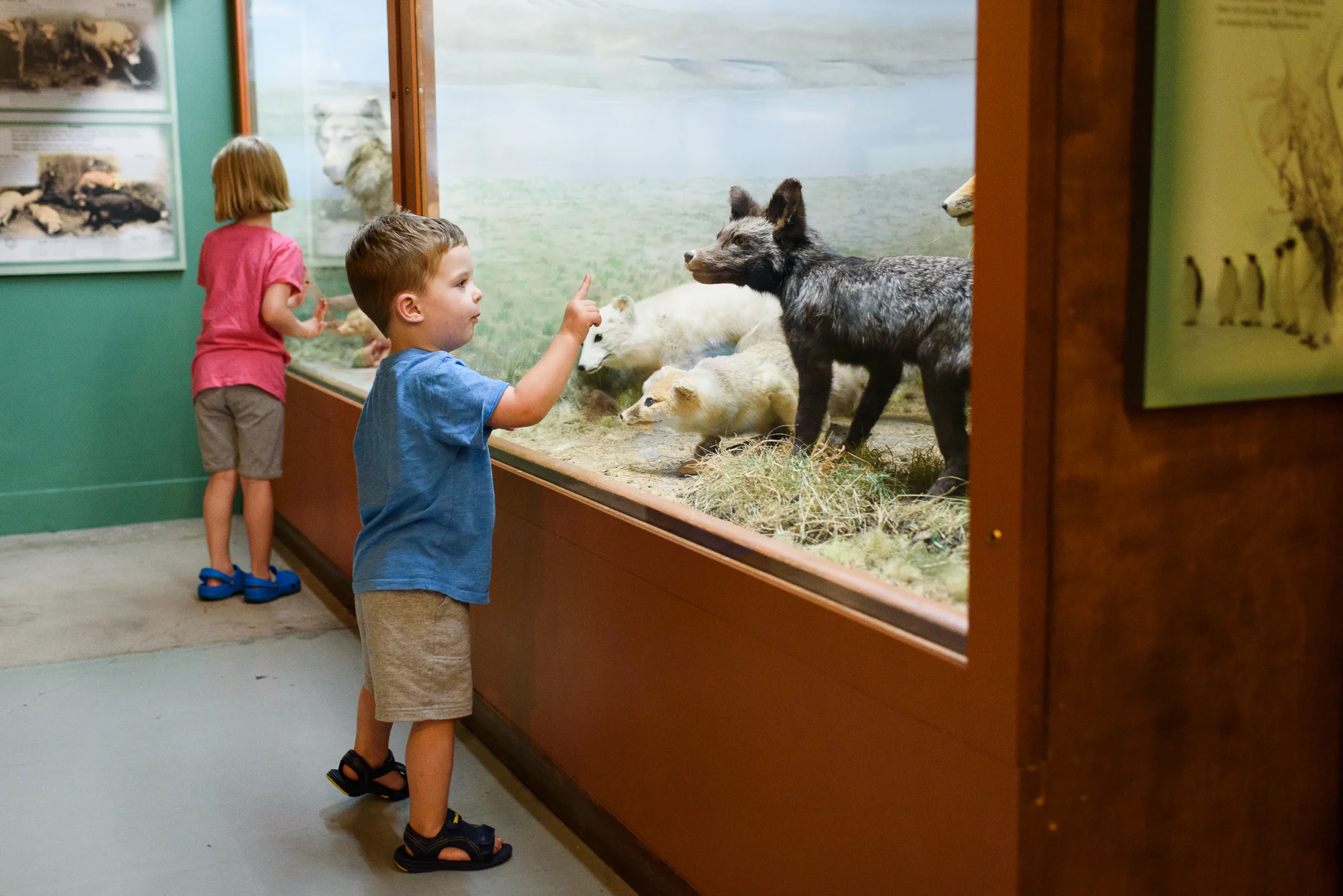 Hastingsmuseuem
