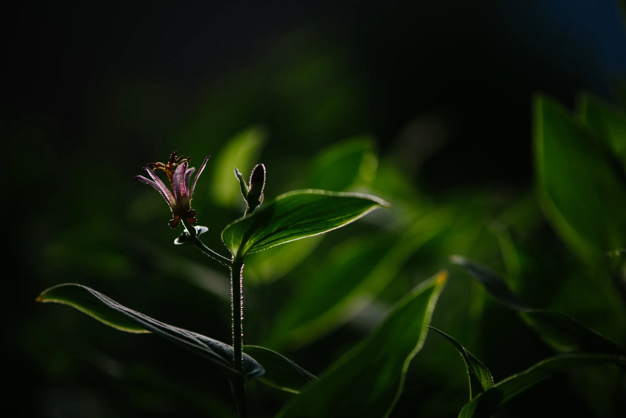 220/366