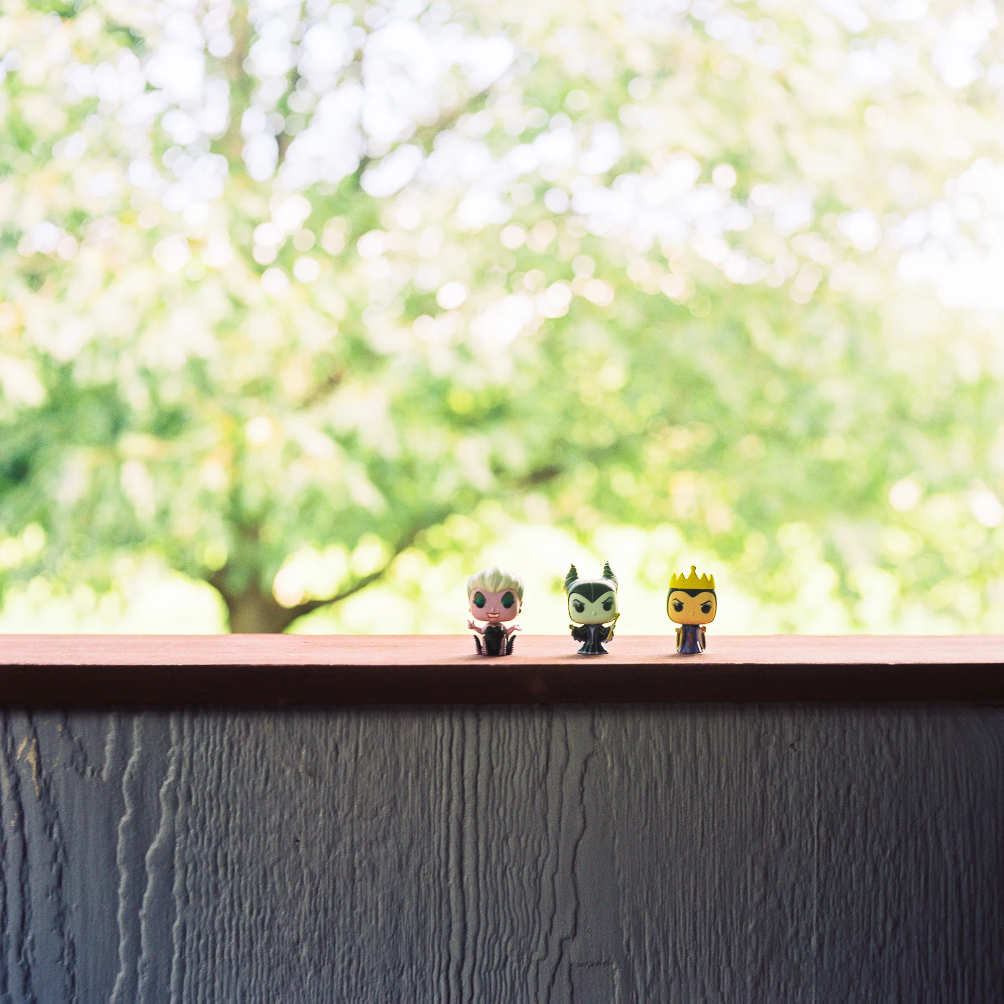 portra160-2