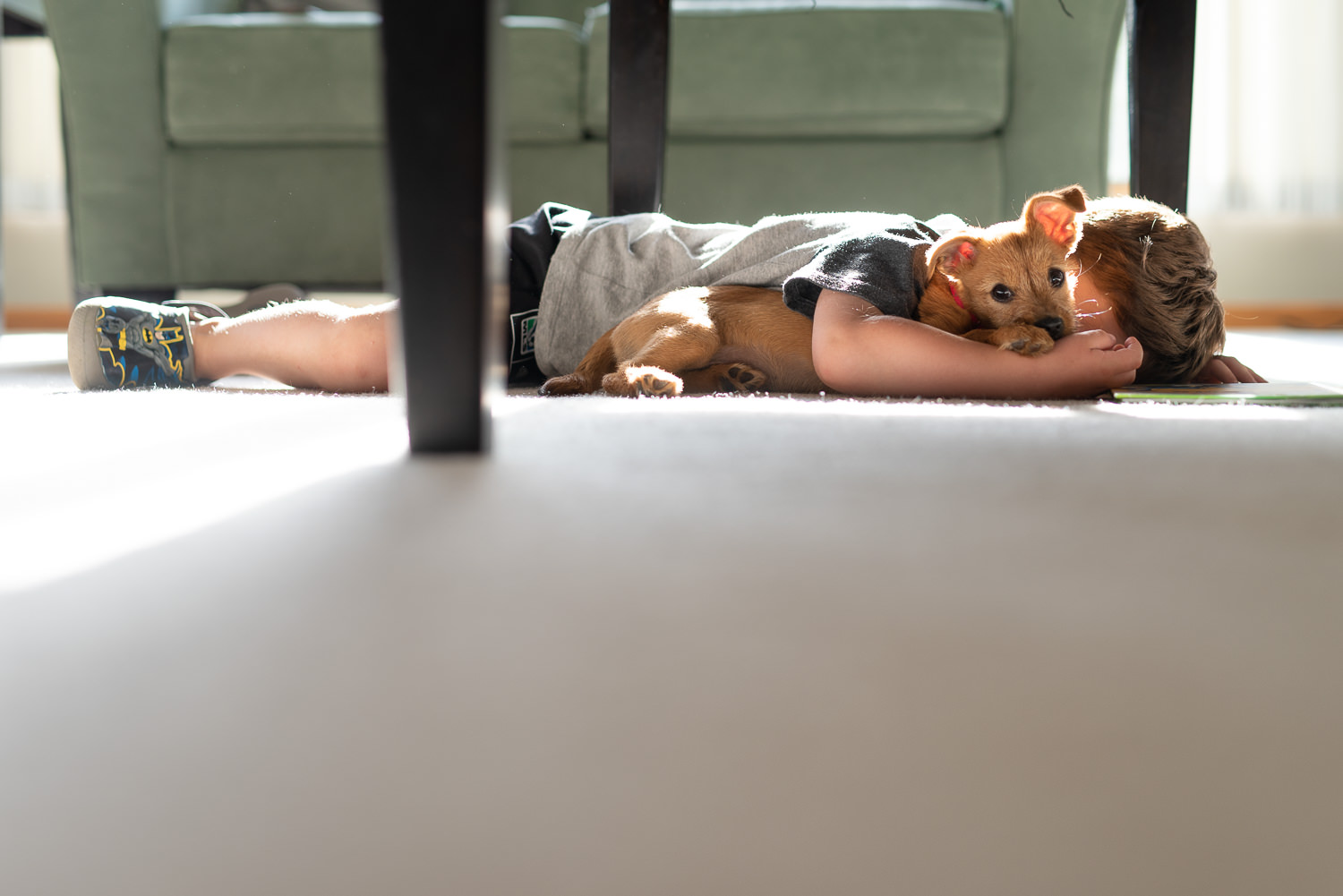 boy laying on the floor with terrier mix puppy in beautiful light Lincoln Nebraska.jpg