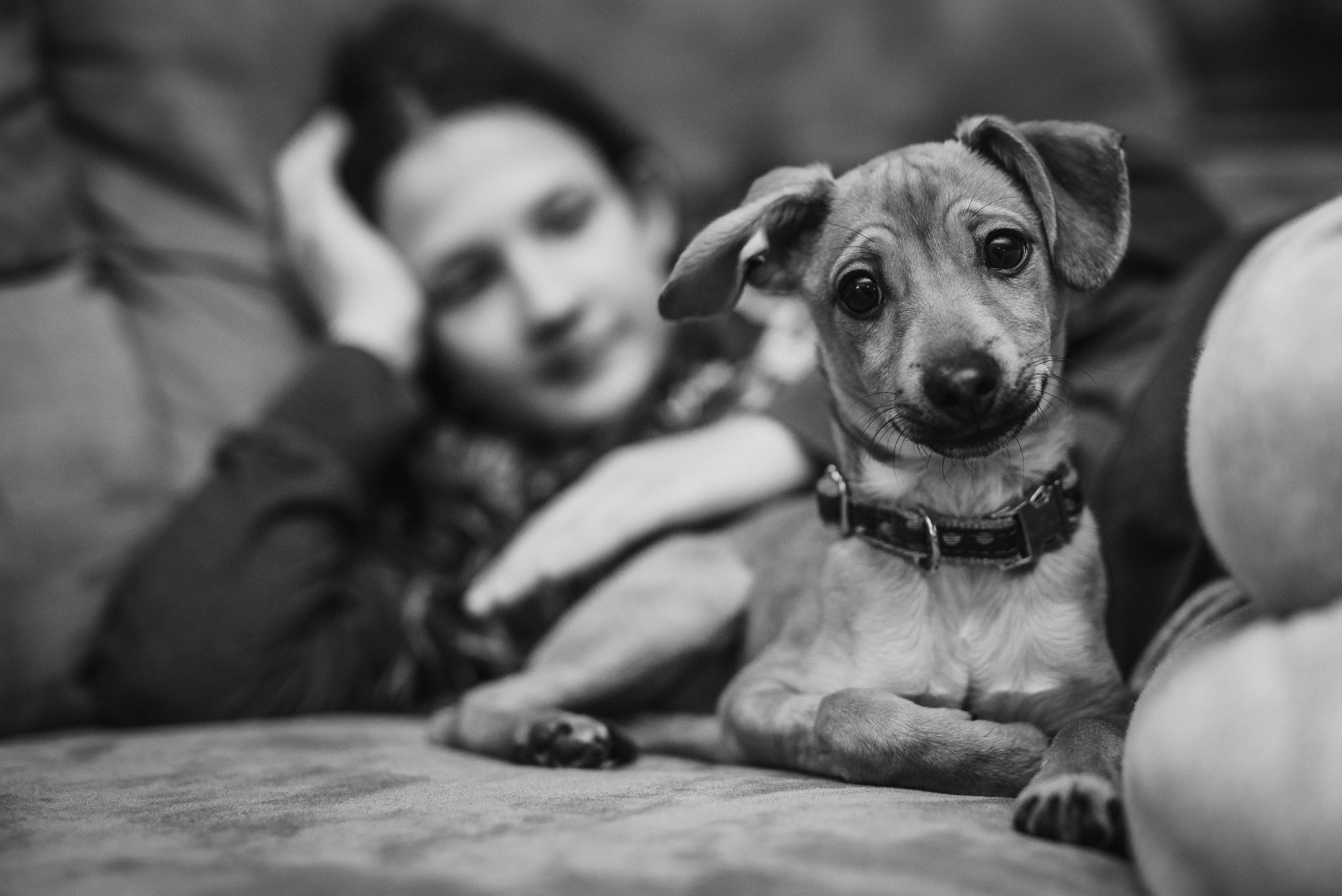 week 4 2019 misty prochaska-4.jpg