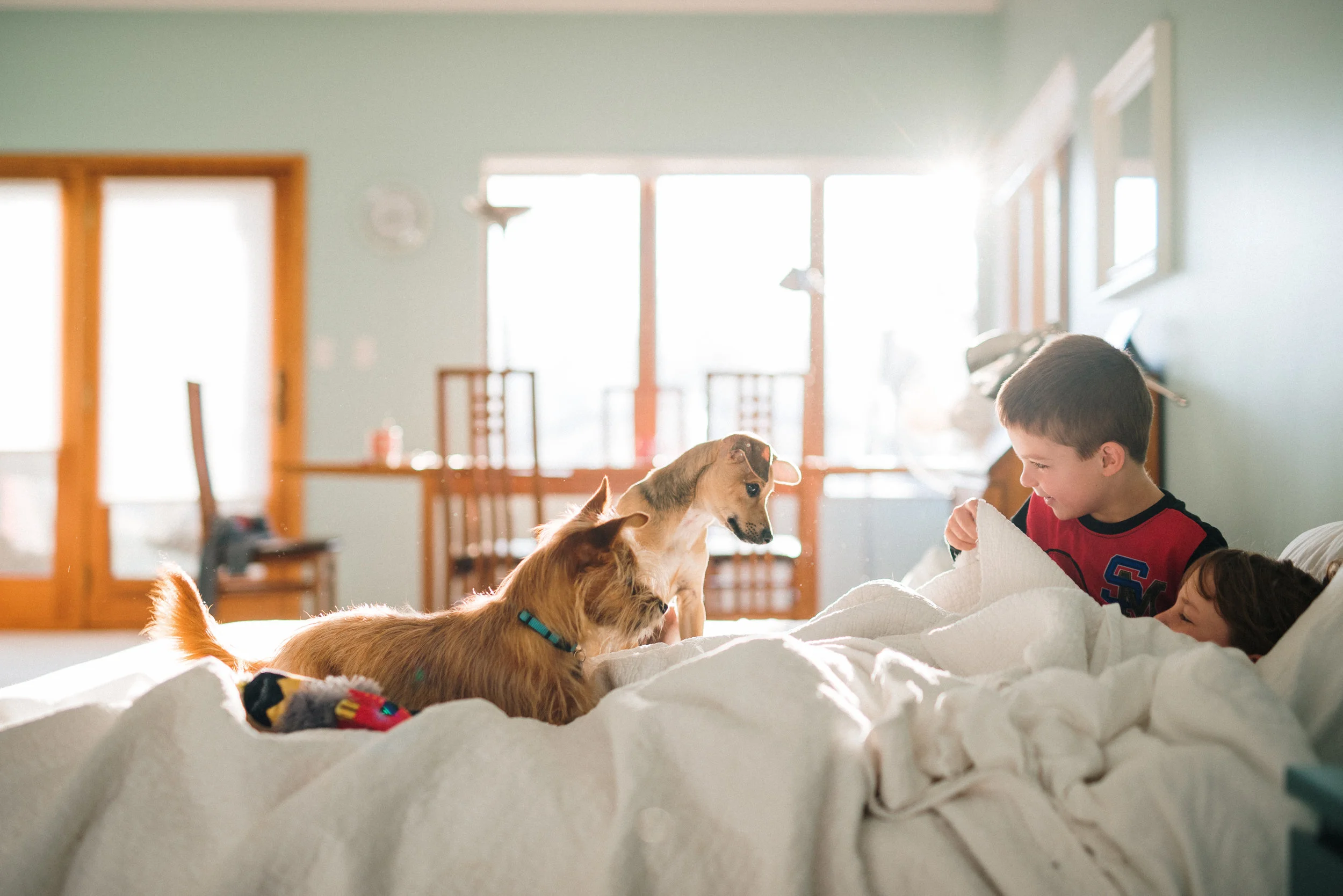 children with puppies in morning light_.jpg
