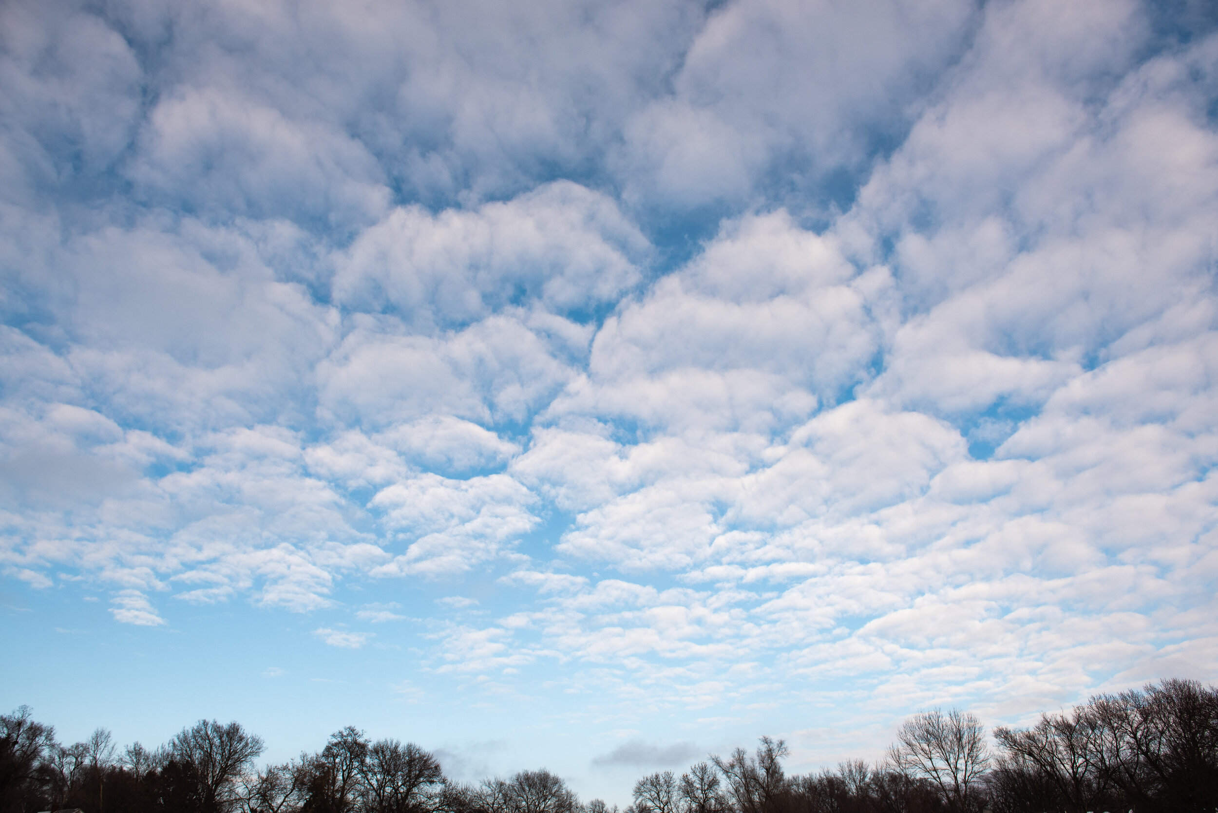 Misty Prochaska week 4 project 366 Lincoln Nebraska-4.jpg