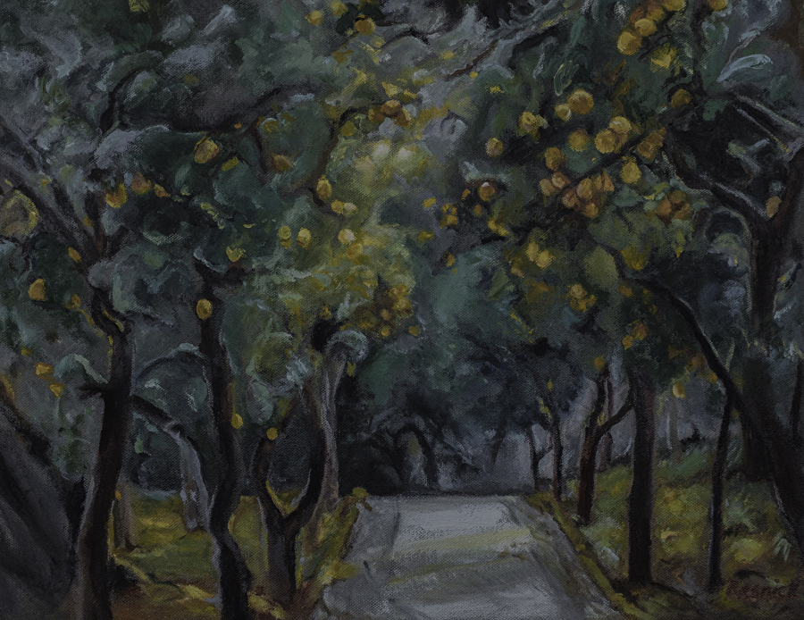 Road-to-the-lemon-grove.jpg