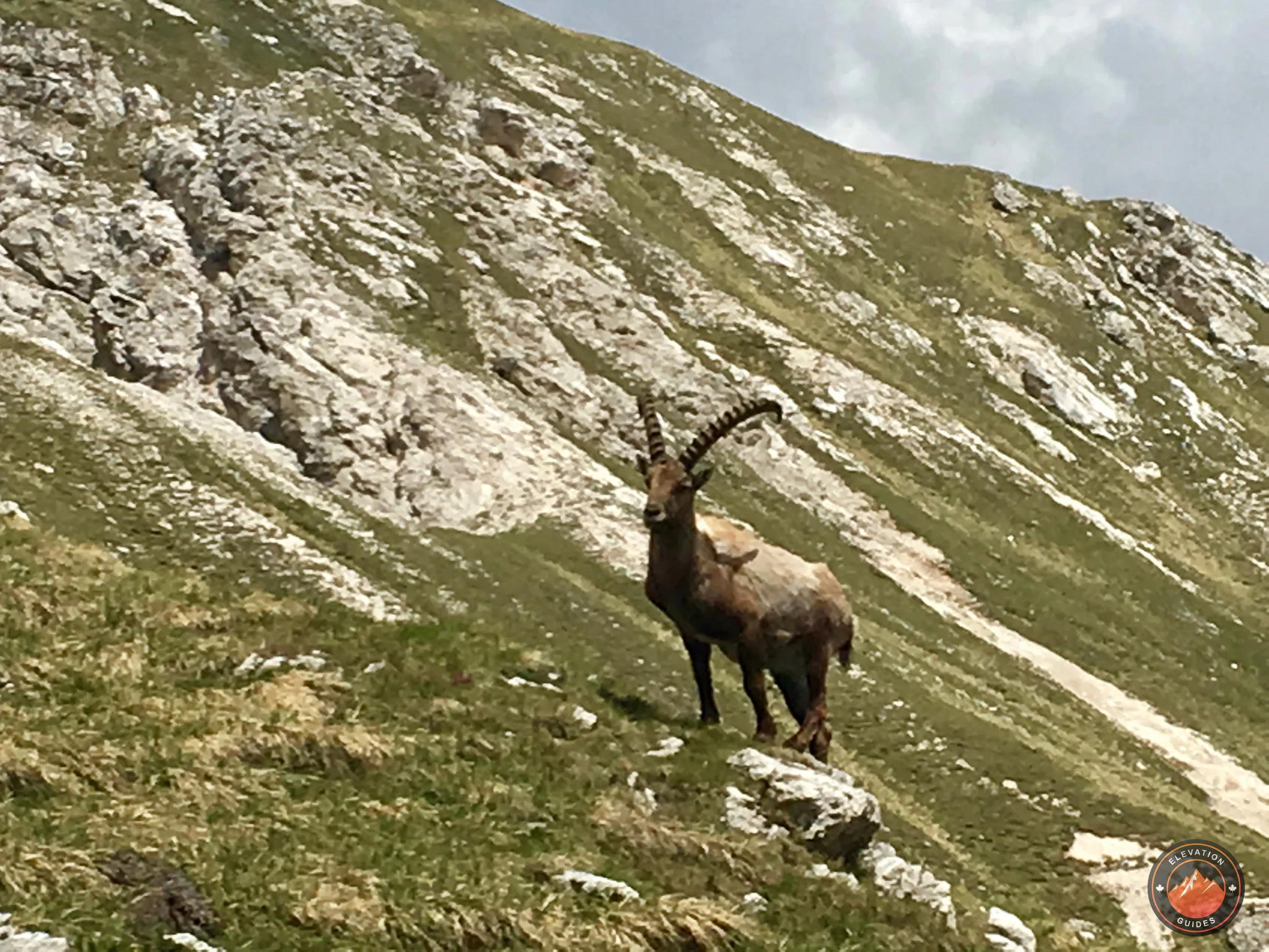 MARX Dolomiti 2017_37.jpg