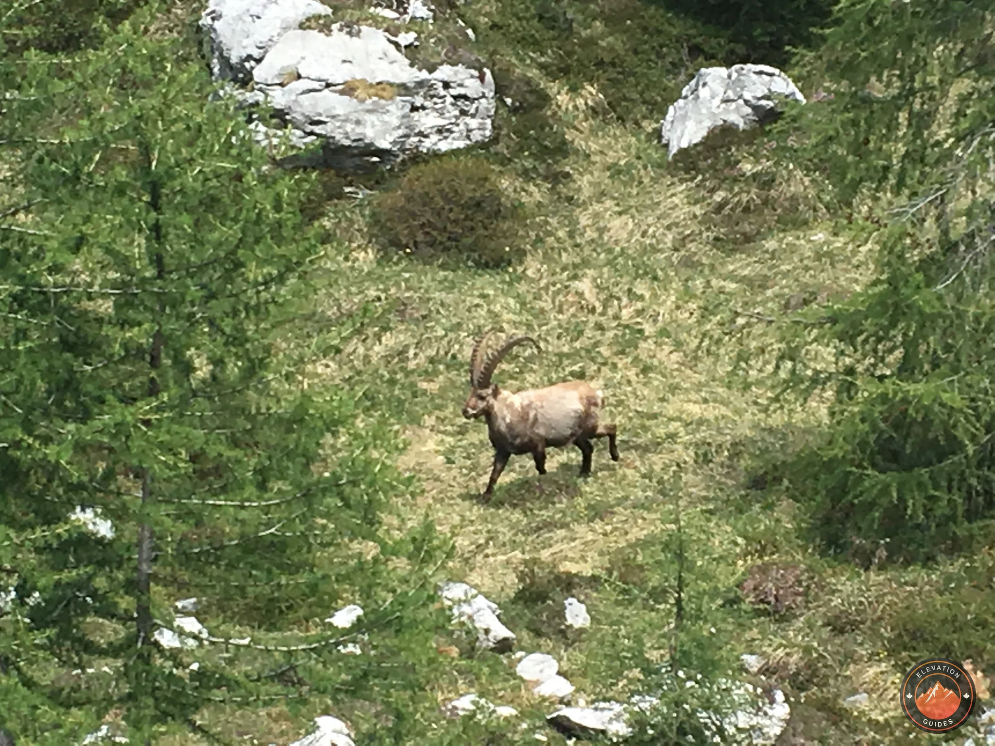 MARX Dolomiti 2017_70.jpg