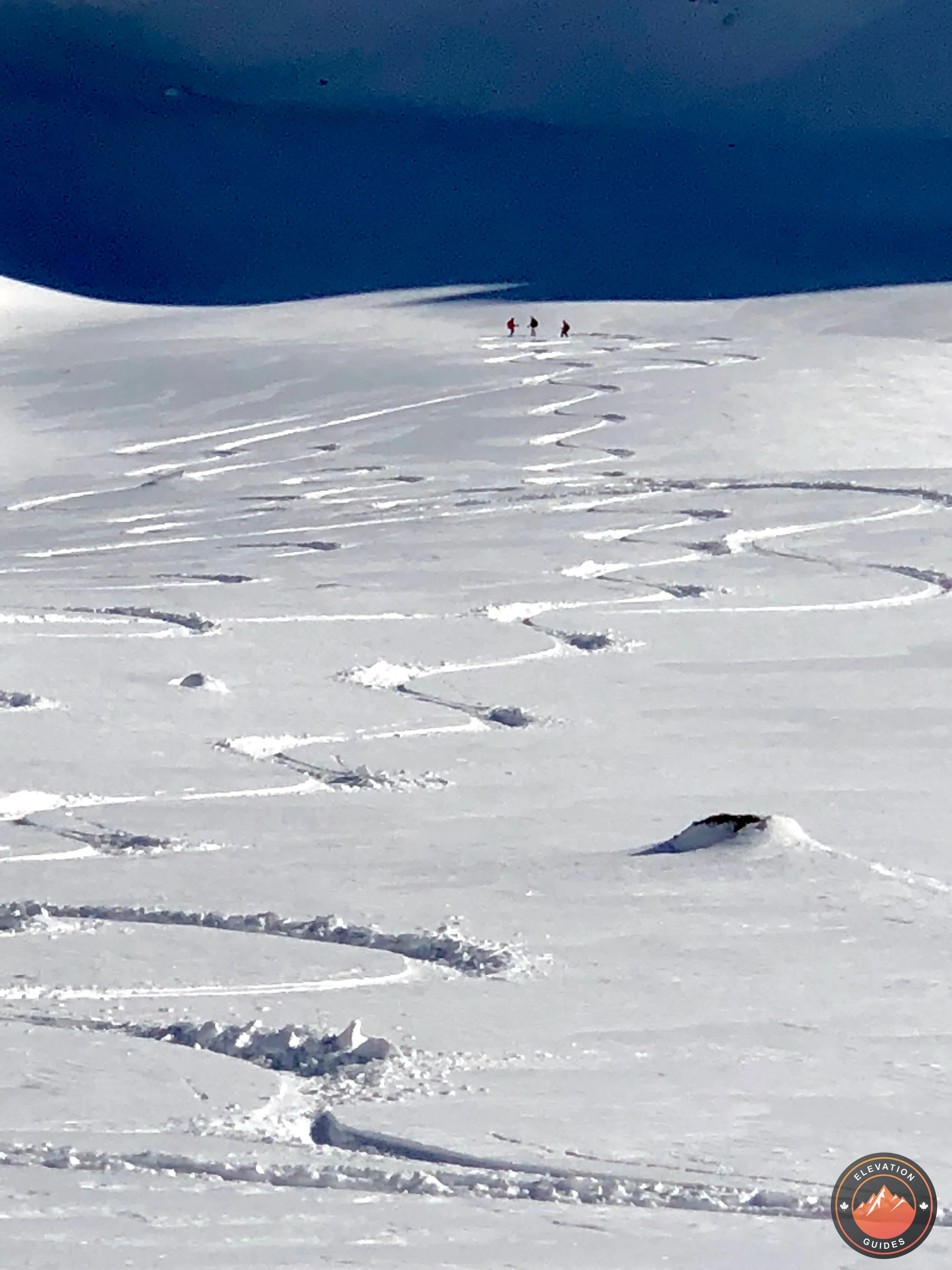 Elevation Guides_BUEHLER NZ JUL 2018_4.jpeg