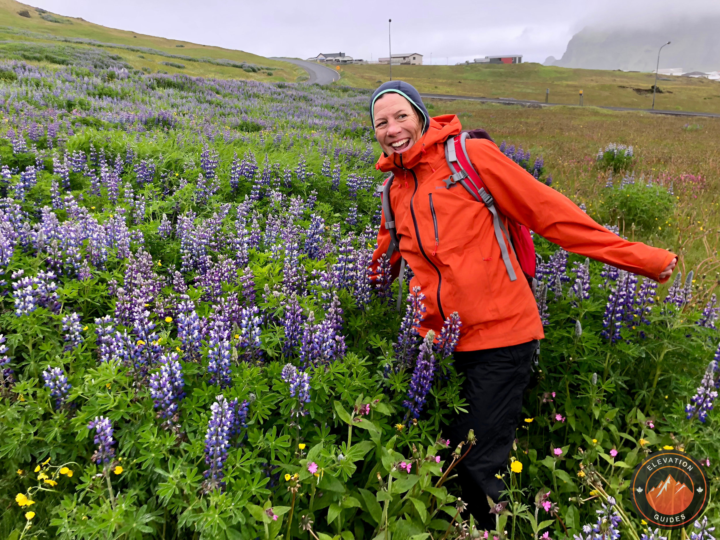 Elevation Guides_MARX Iceland Jun 2018_81.jpeg