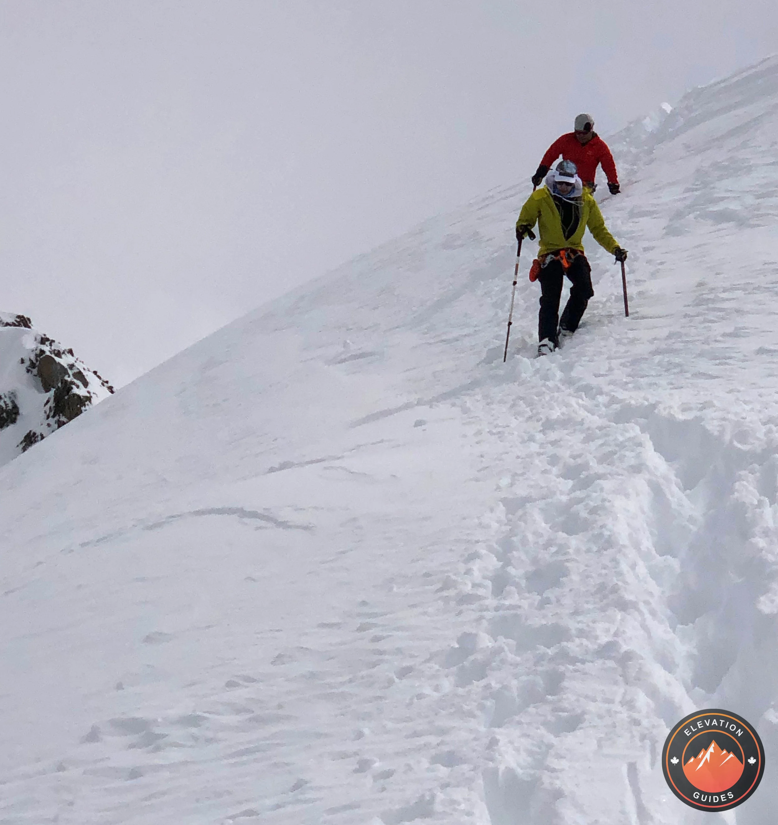 Elevation Guides_CHAN DONG May 2019_15.jpeg