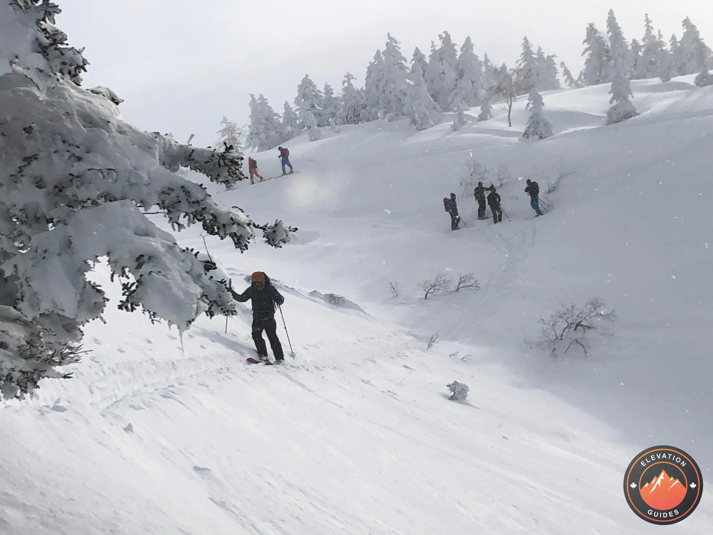 Elevation Guides_JaPow Jan 2019_5.jpg