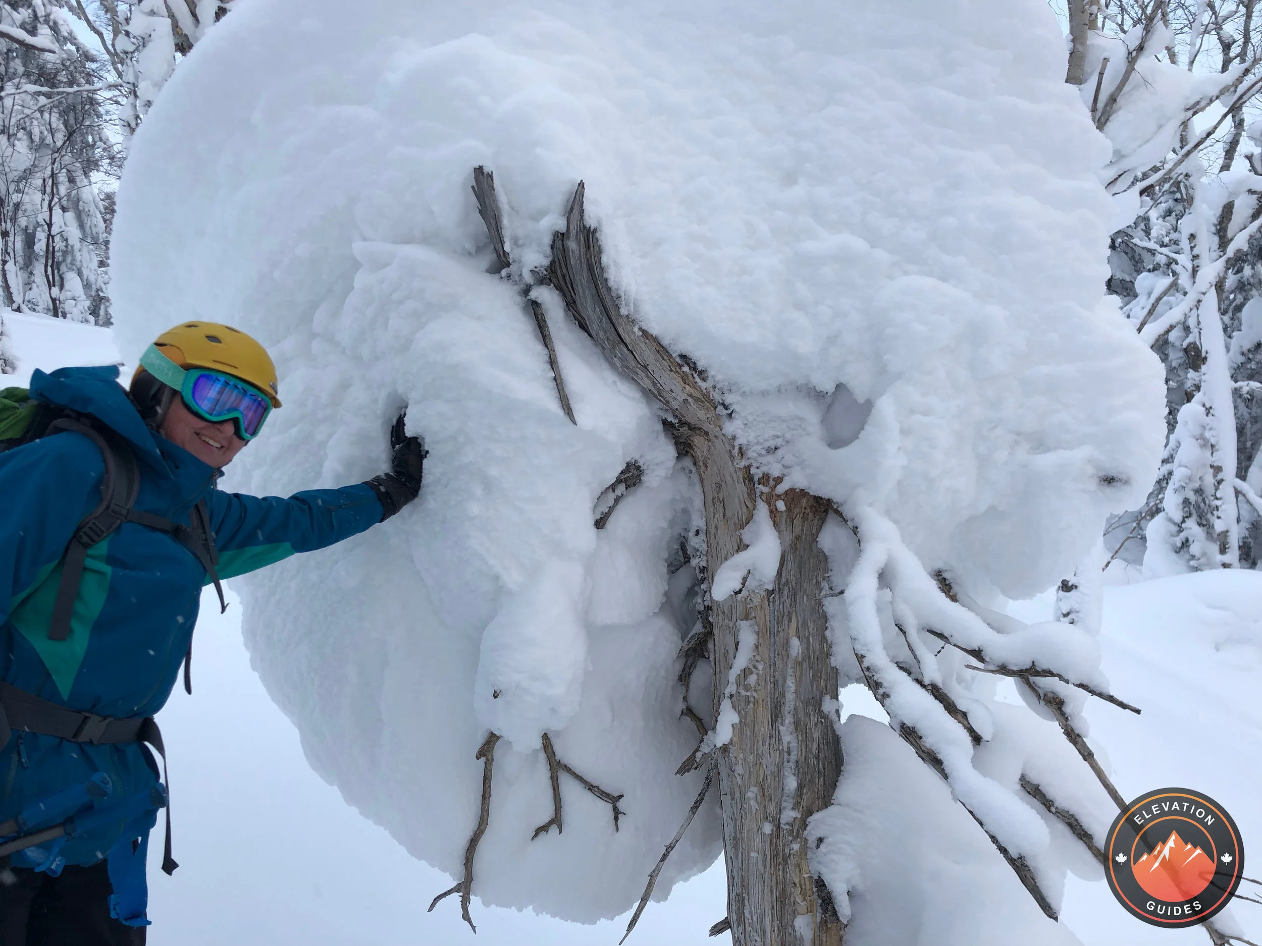 Elevation Guides_JaPow Jan 2019_19.jpg