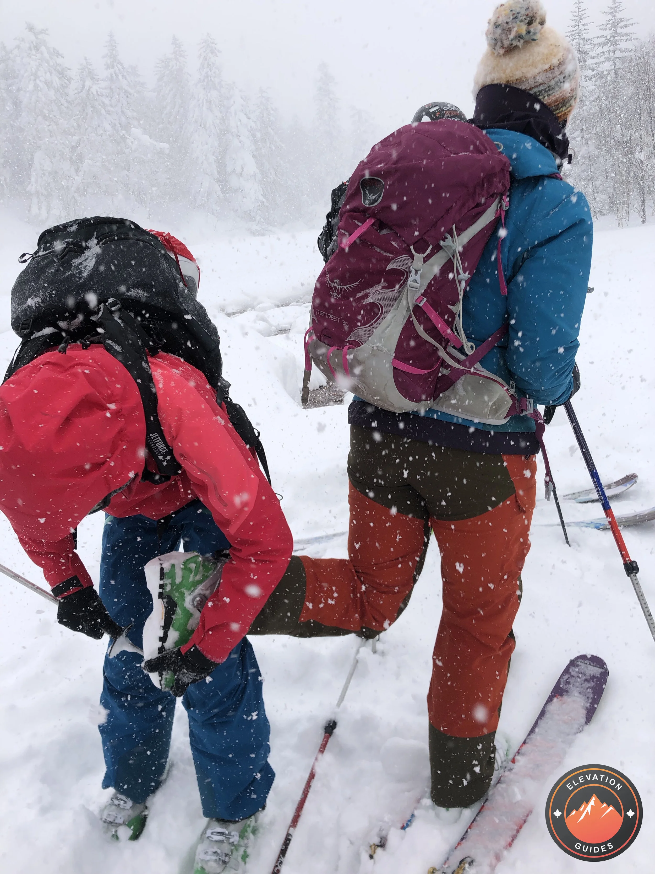 Elevation Guides_JaPow Jan 2019_21.jpg