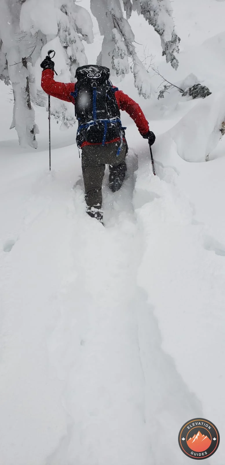 Elevation Guides_JaPow Jan 2019_67.jpg