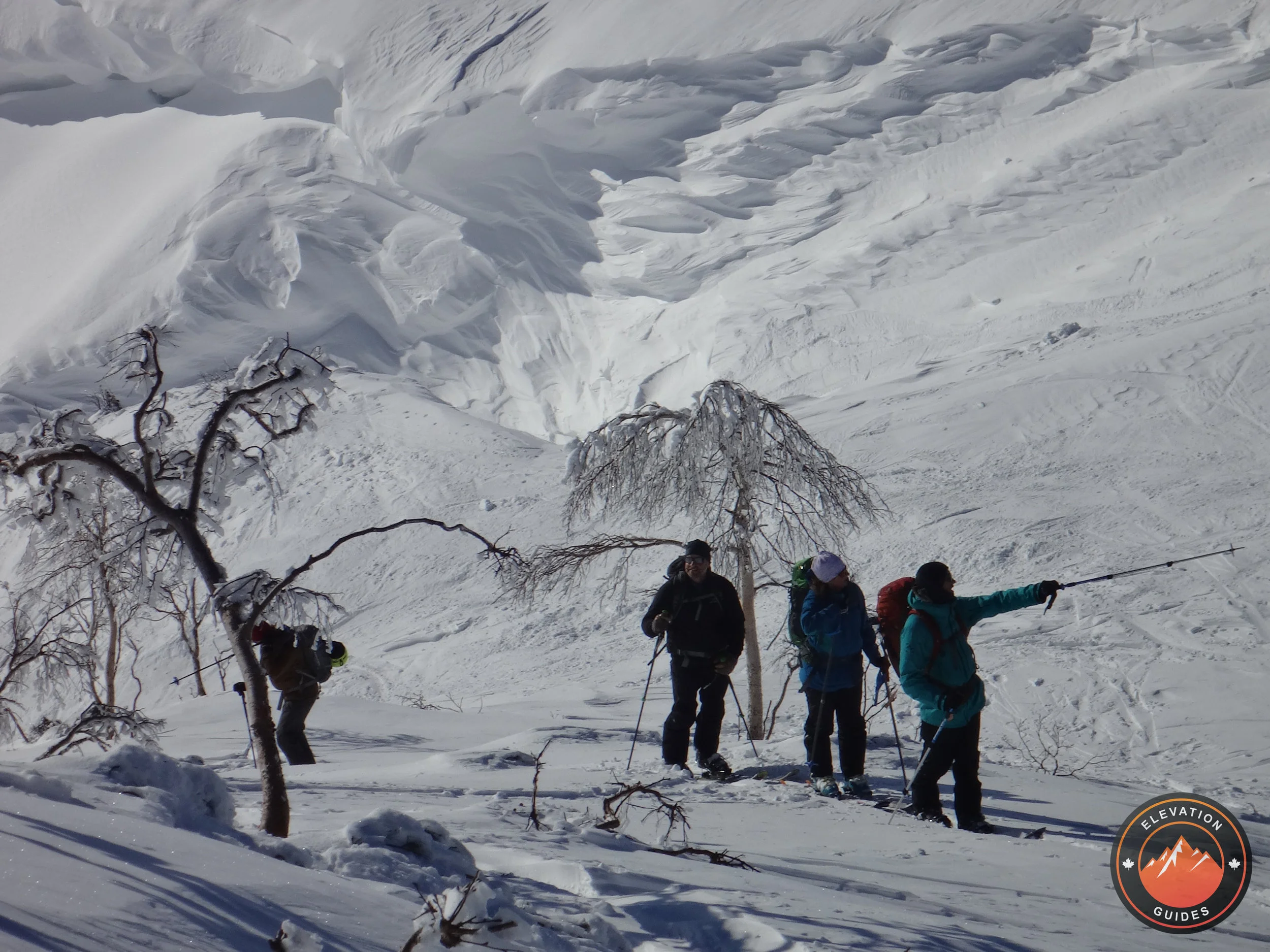 Elevation Guides_JaPow Jan 2019_70.jpg