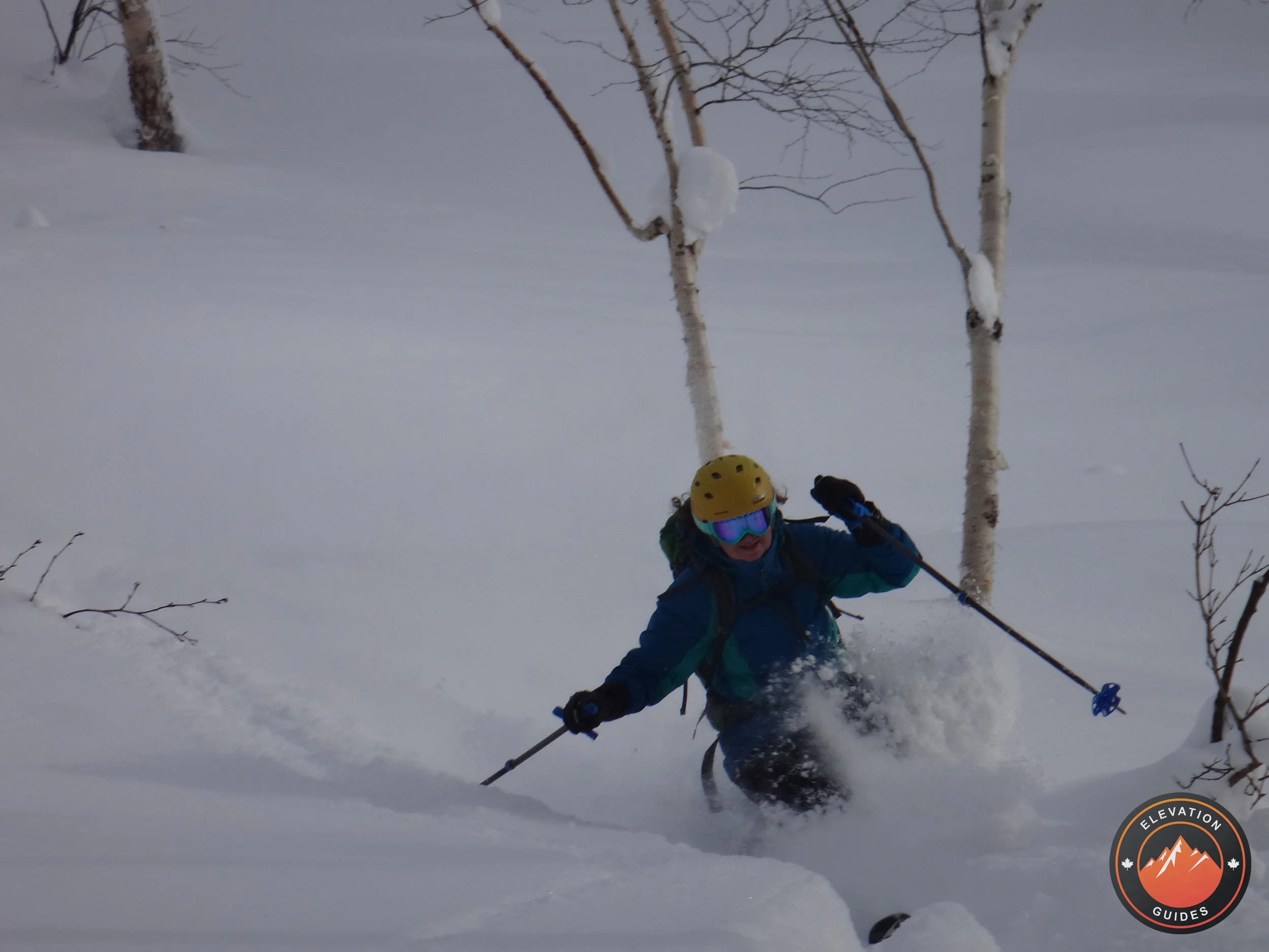 Elevation Guides_JaPow Jan 2019_77.jpg