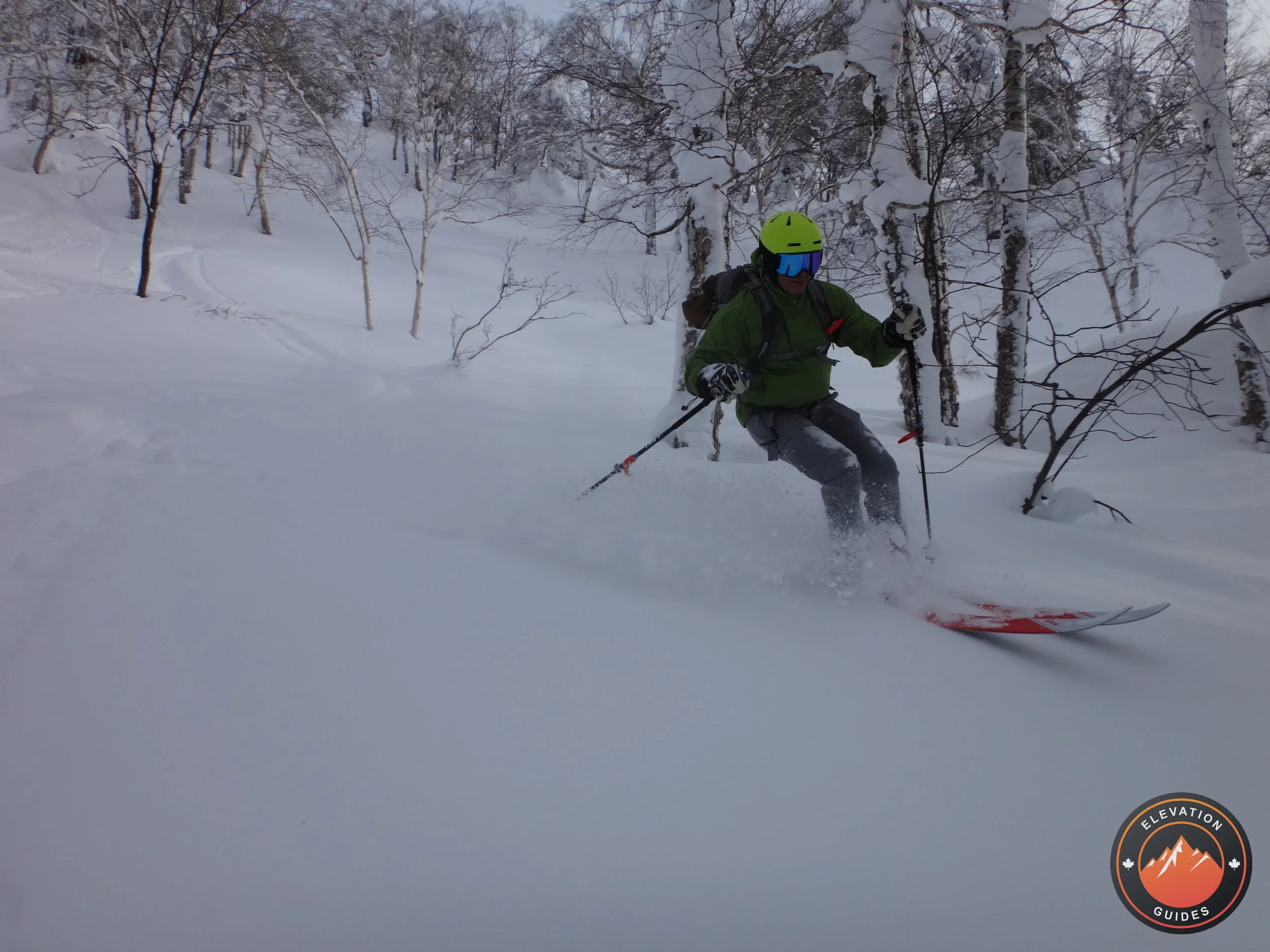 Elevation Guides_JaPow Jan 2019_76.jpg