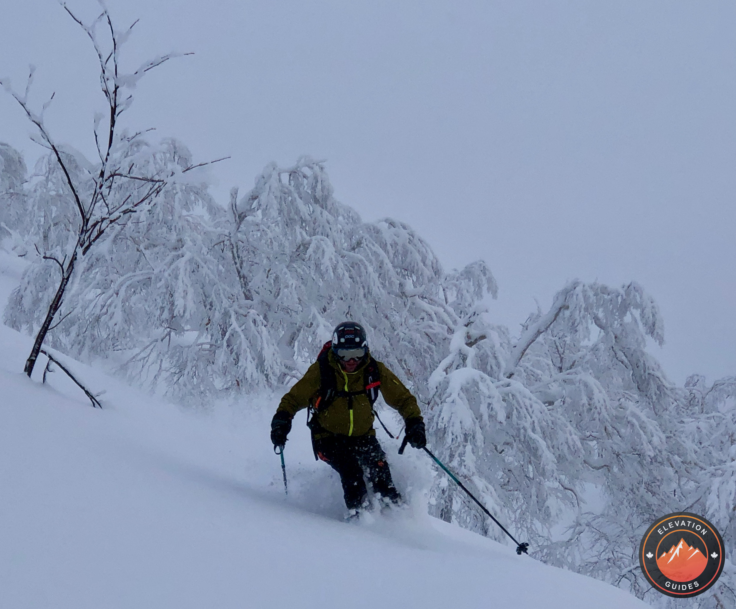 Elevation Guides_JaPow Jan 2019_82.jpeg