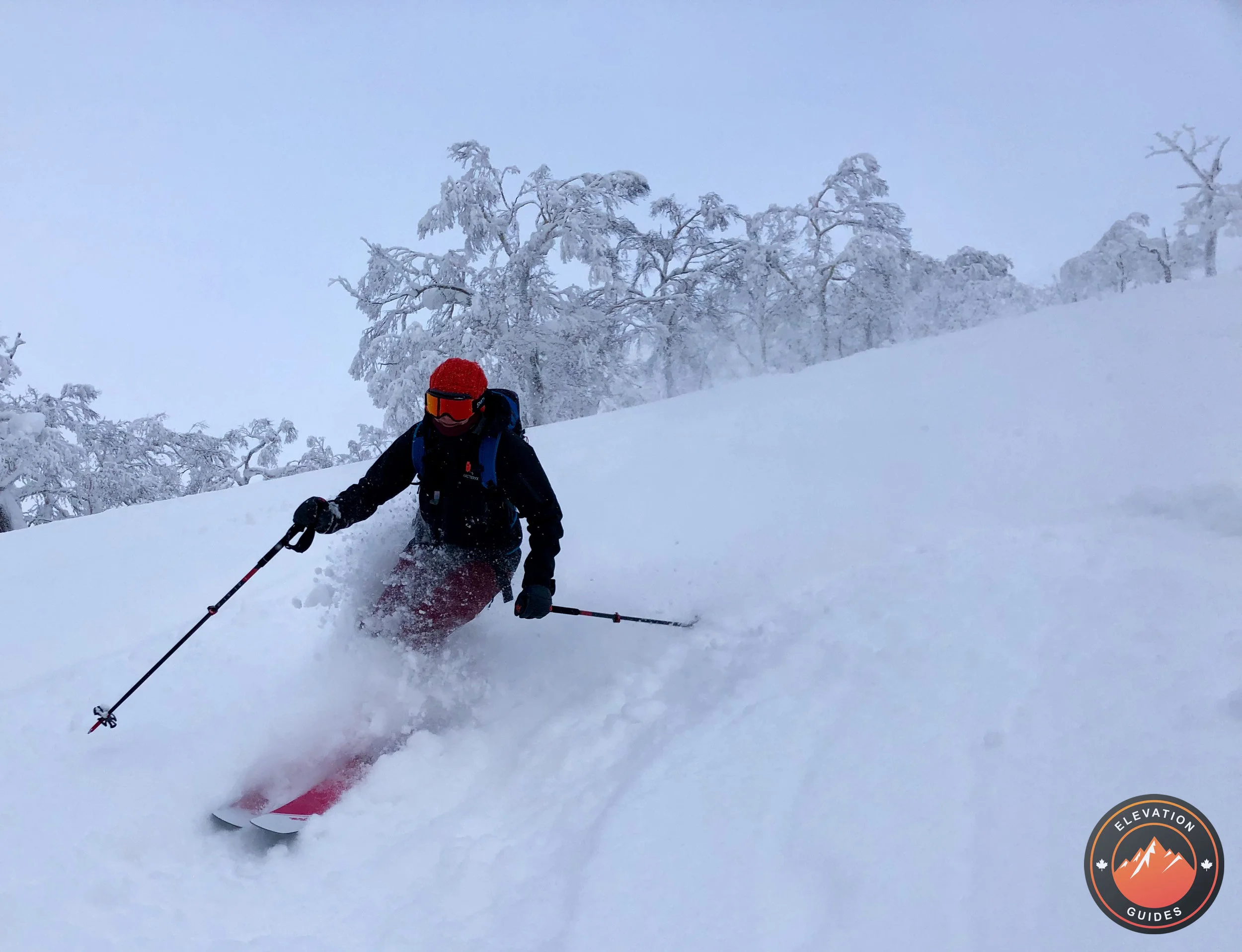 Elevation Guides_JaPow Jan 2019_84.jpeg