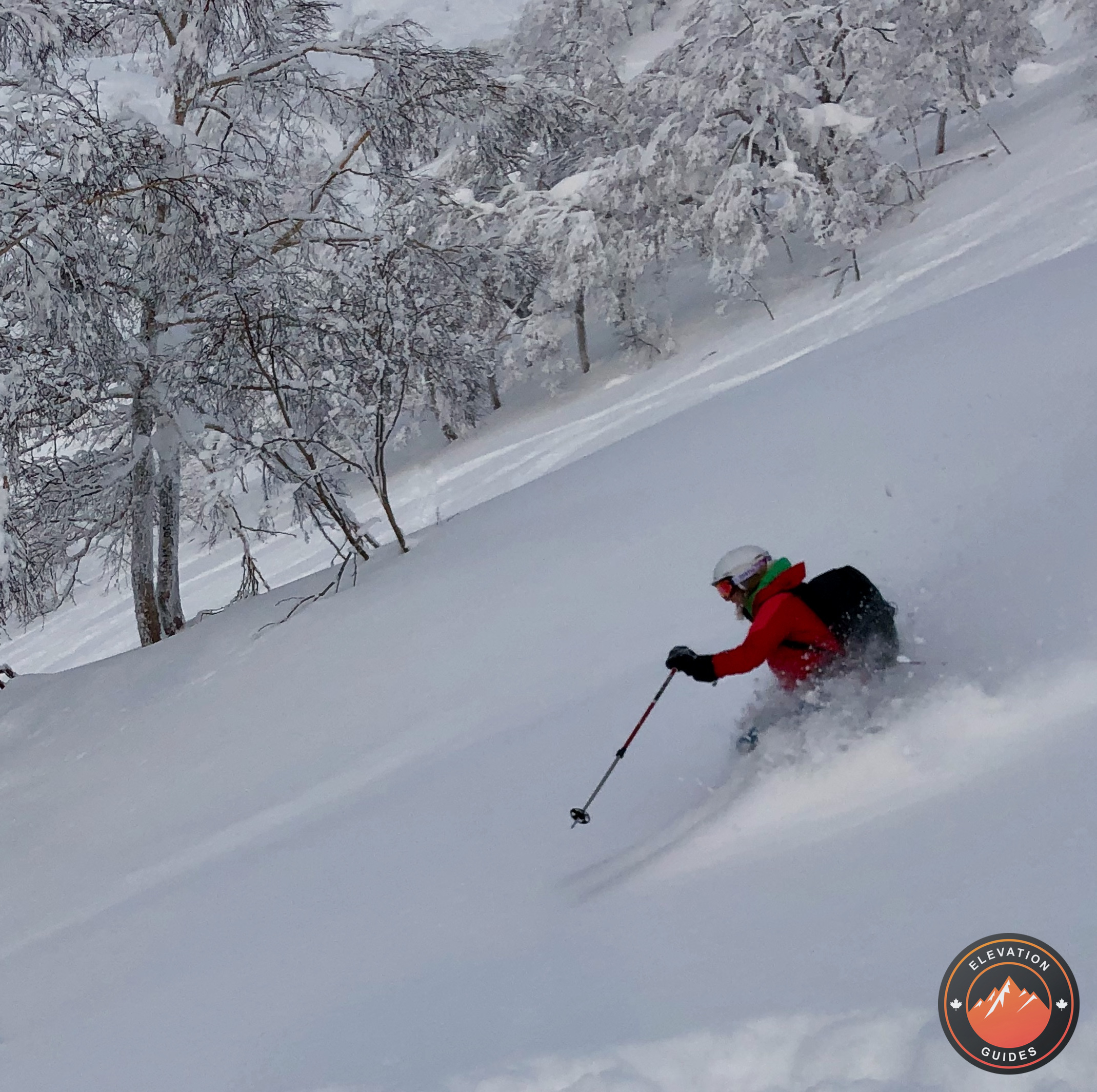 Elevation Guides_JaPow Jan 2019_86.jpeg