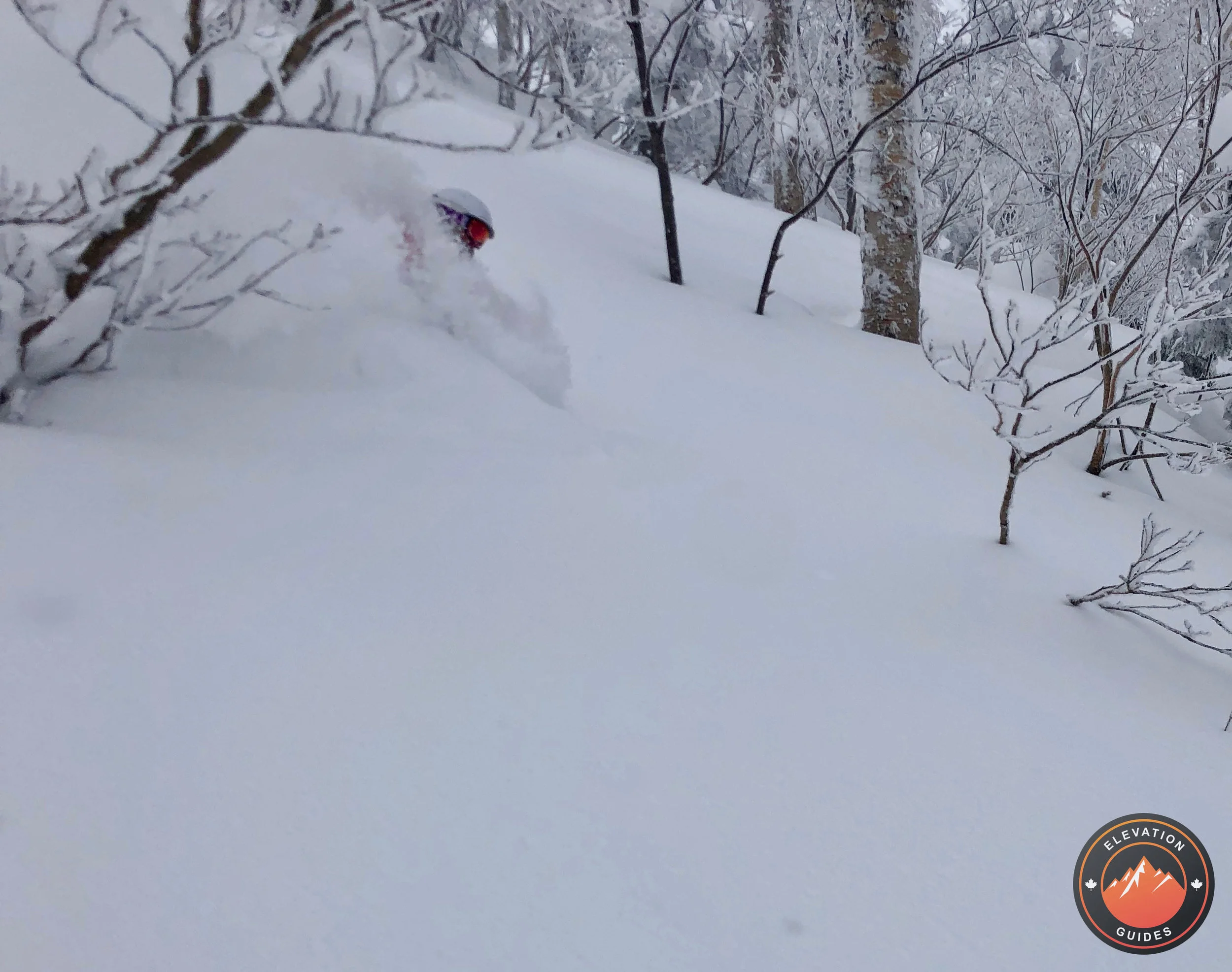 Elevation Guides_JaPow Jan 2019_88.jpeg