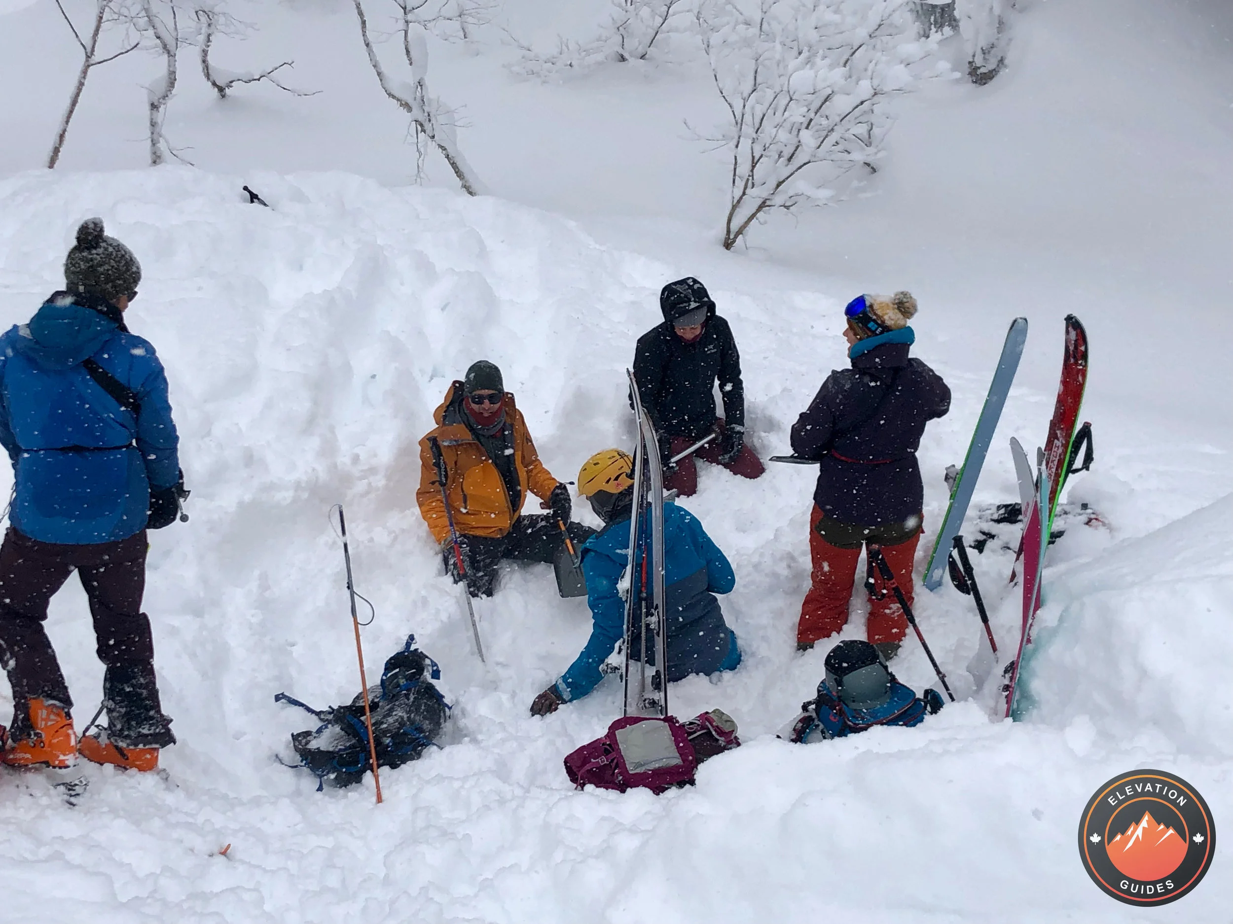 Elevation Guides_JaPow Jan 2019_91.jpeg