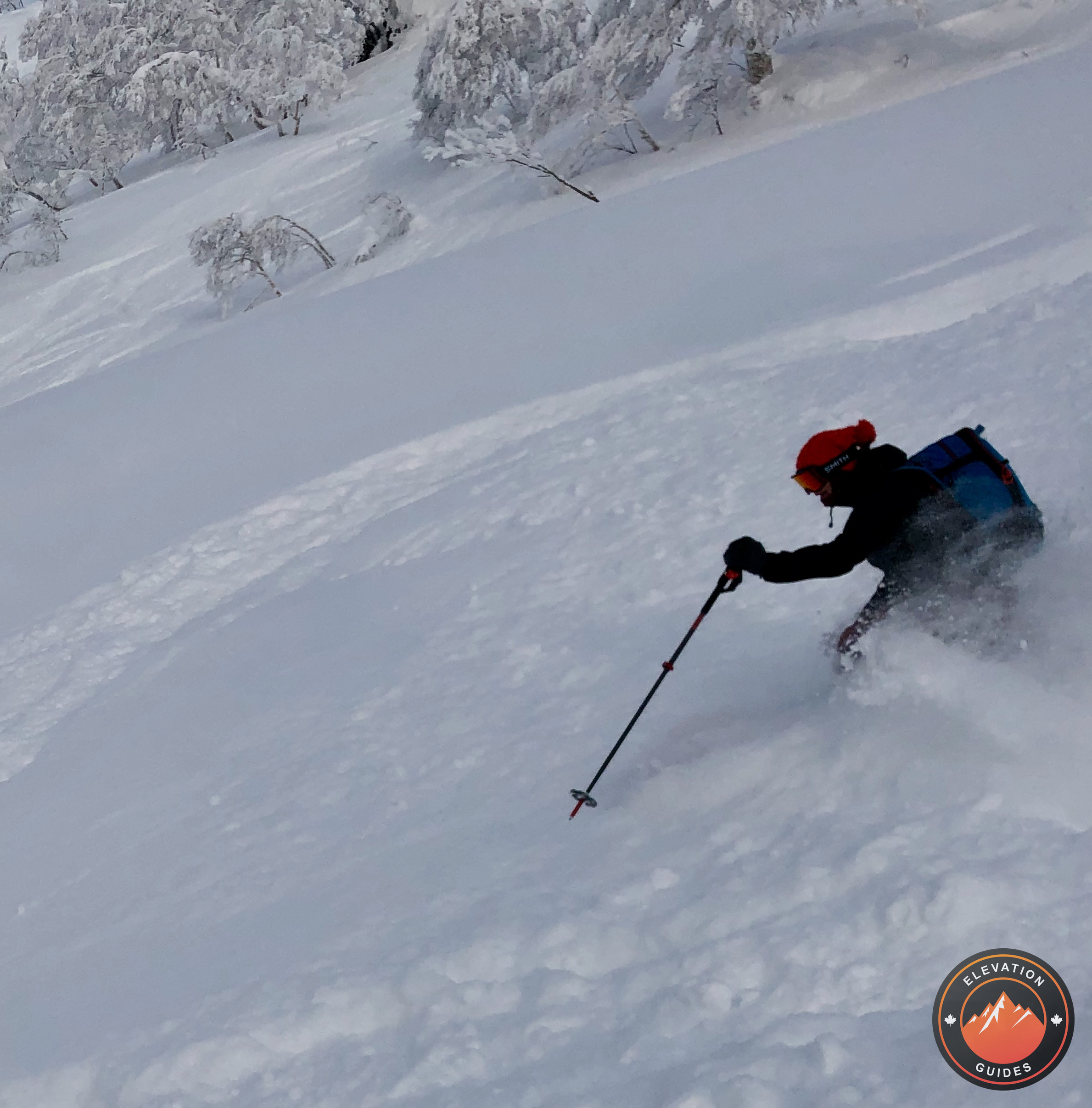 Elevation Guides_JaPow Jan 2019_93.jpeg