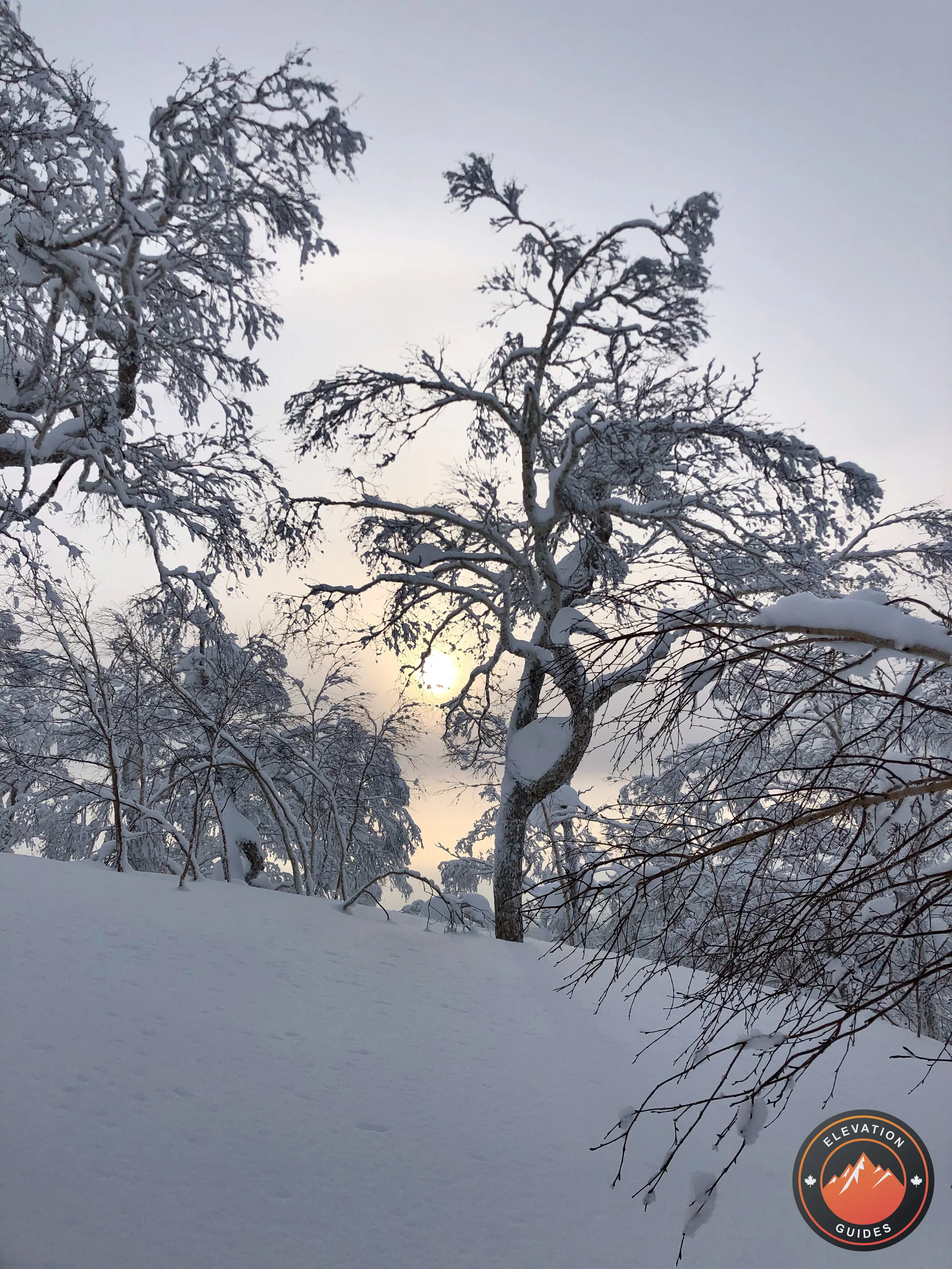 Elevation Guides_JaPow Jan 2019_92.jpeg