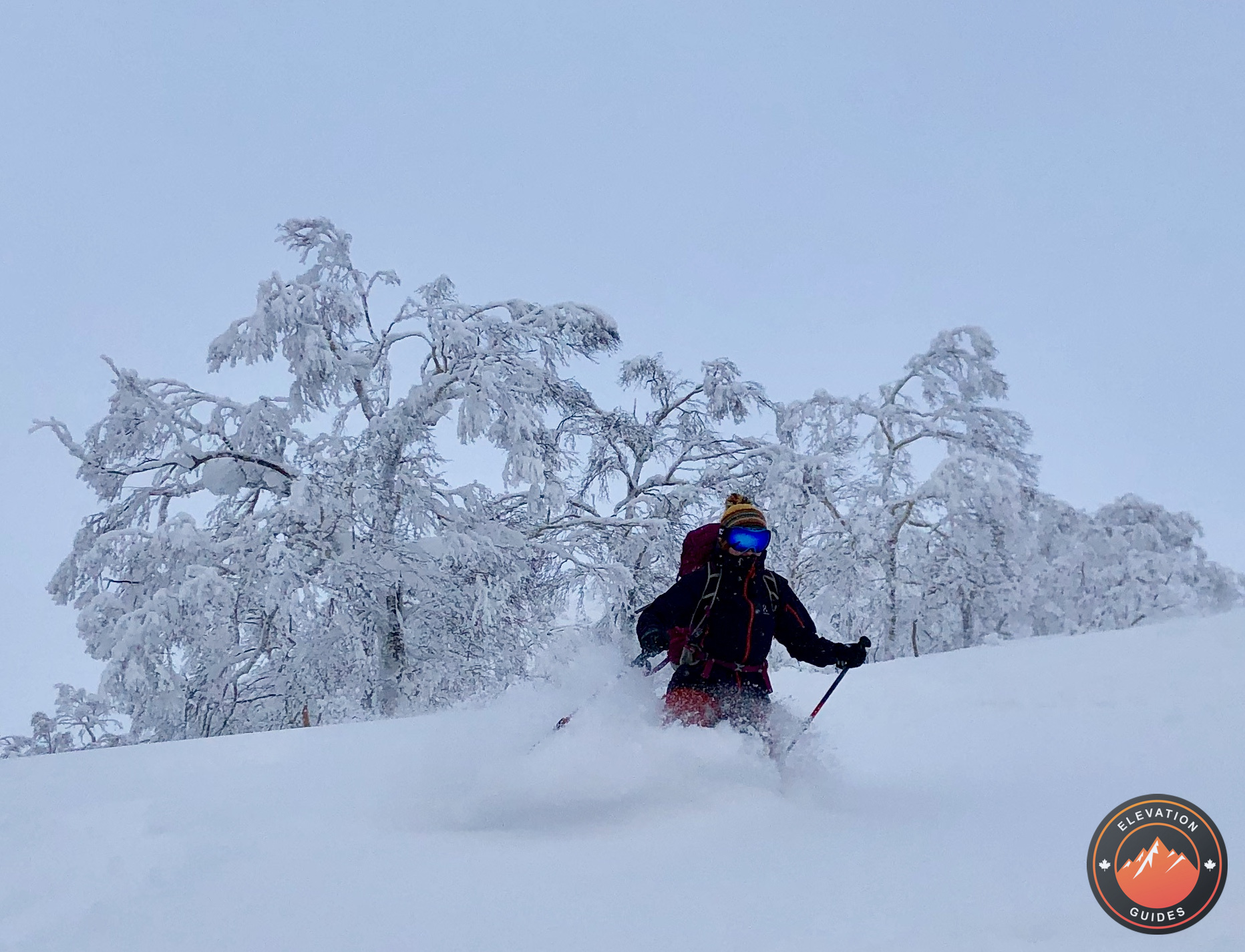 Elevation Guides_JaPow Jan 2019_95.jpeg