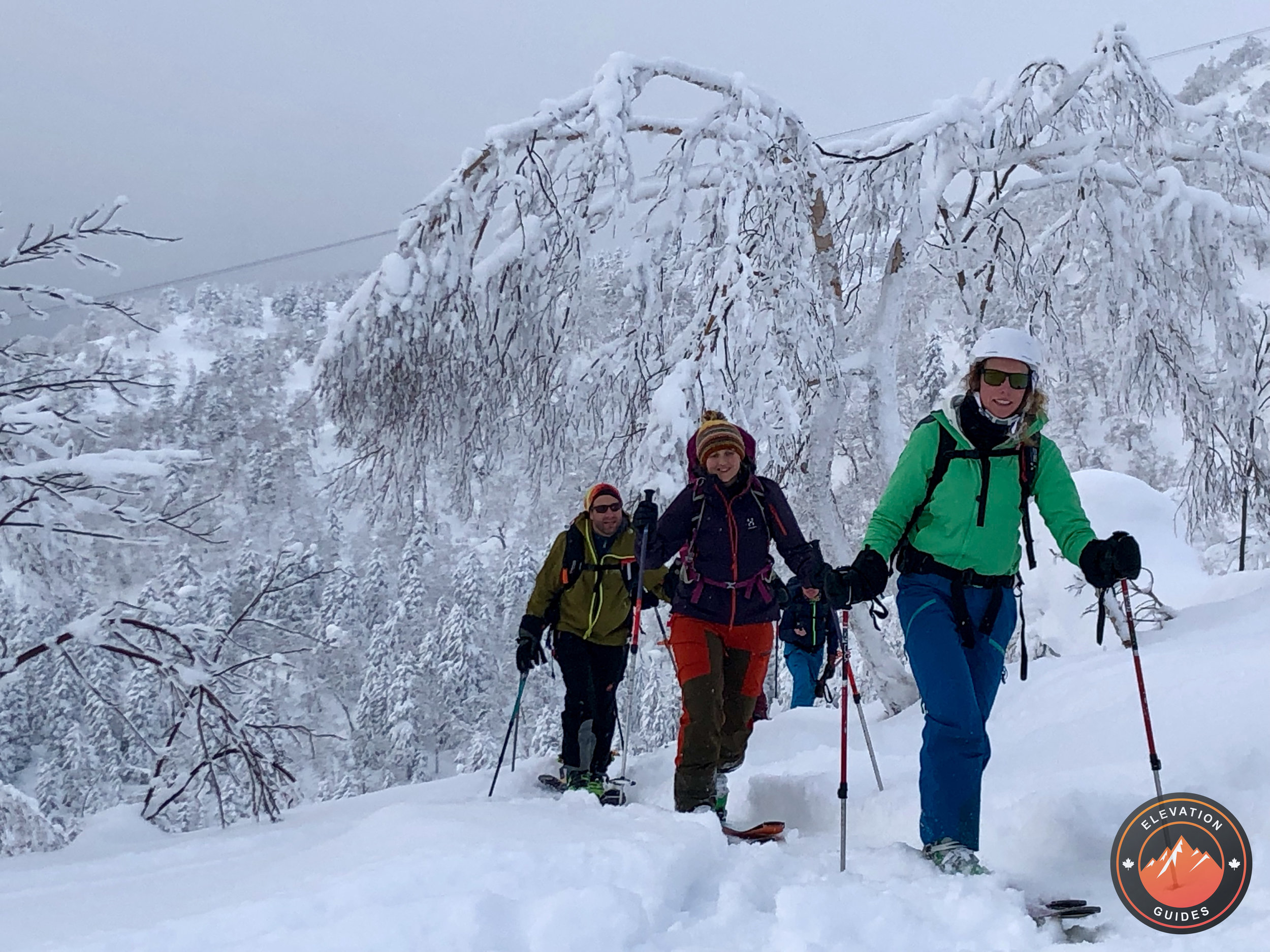 Elevation Guides_JaPow Jan 2019_98.jpeg
