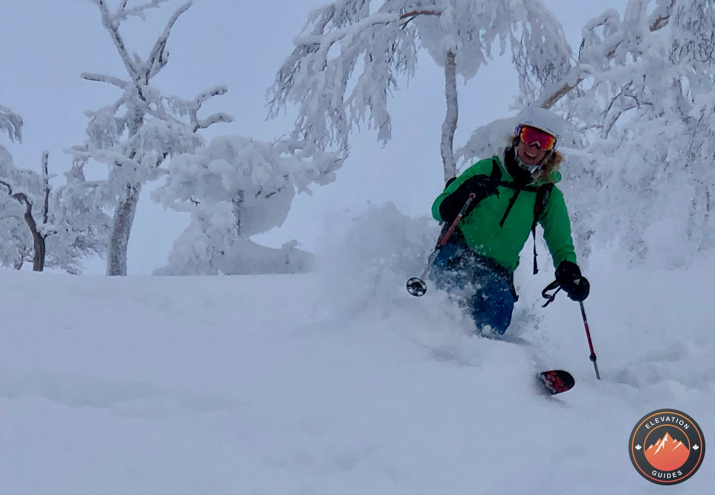 Elevation Guides_JaPow Jan 2019_99.jpeg