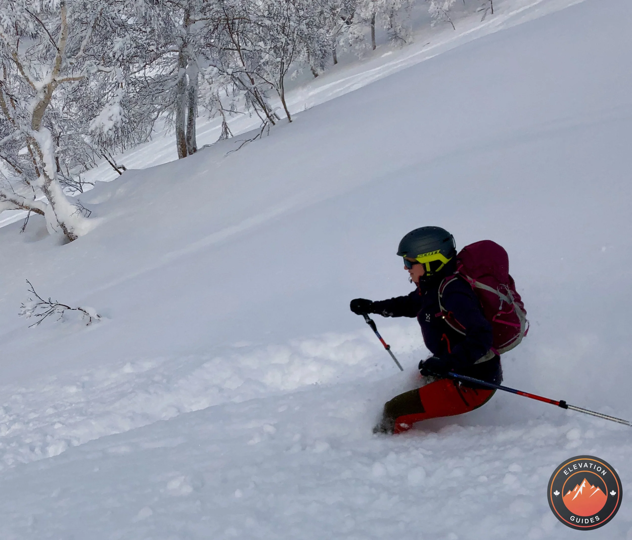 Elevation Guides_JaPow Jan 2019_101.jpeg
