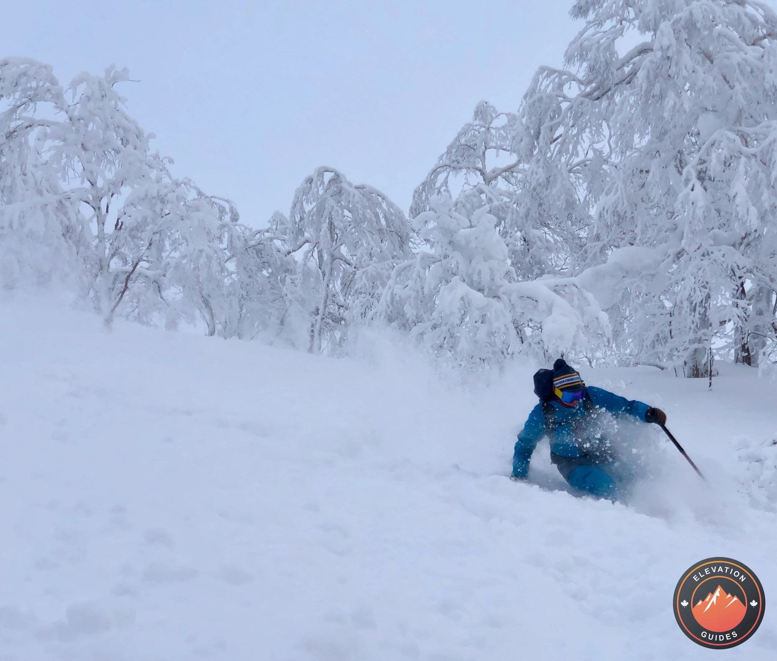 Elevation Guides_JaPow Jan 2019_102.jpeg