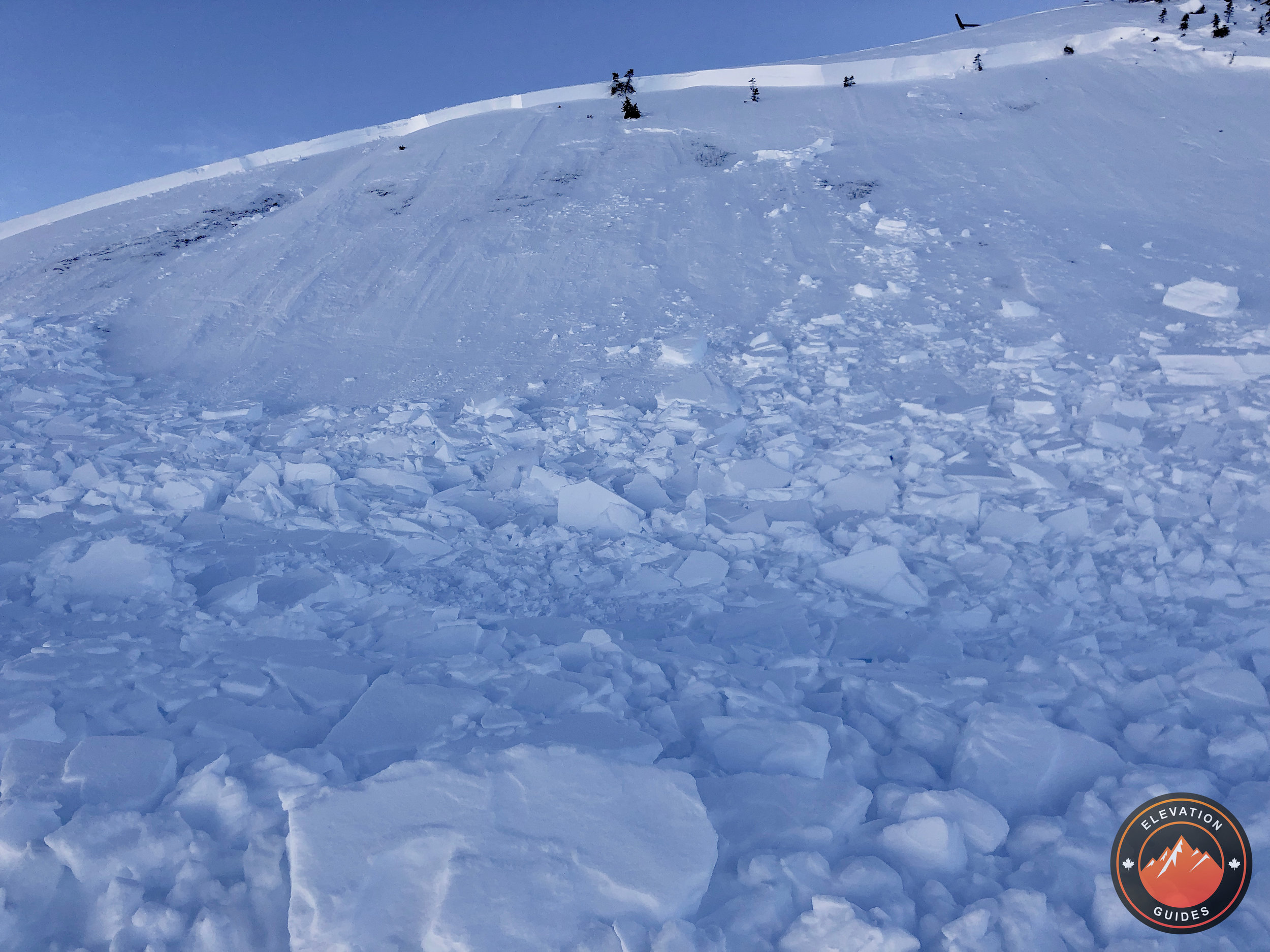 Elevation Guides LFH Dec 2018_1.jpeg