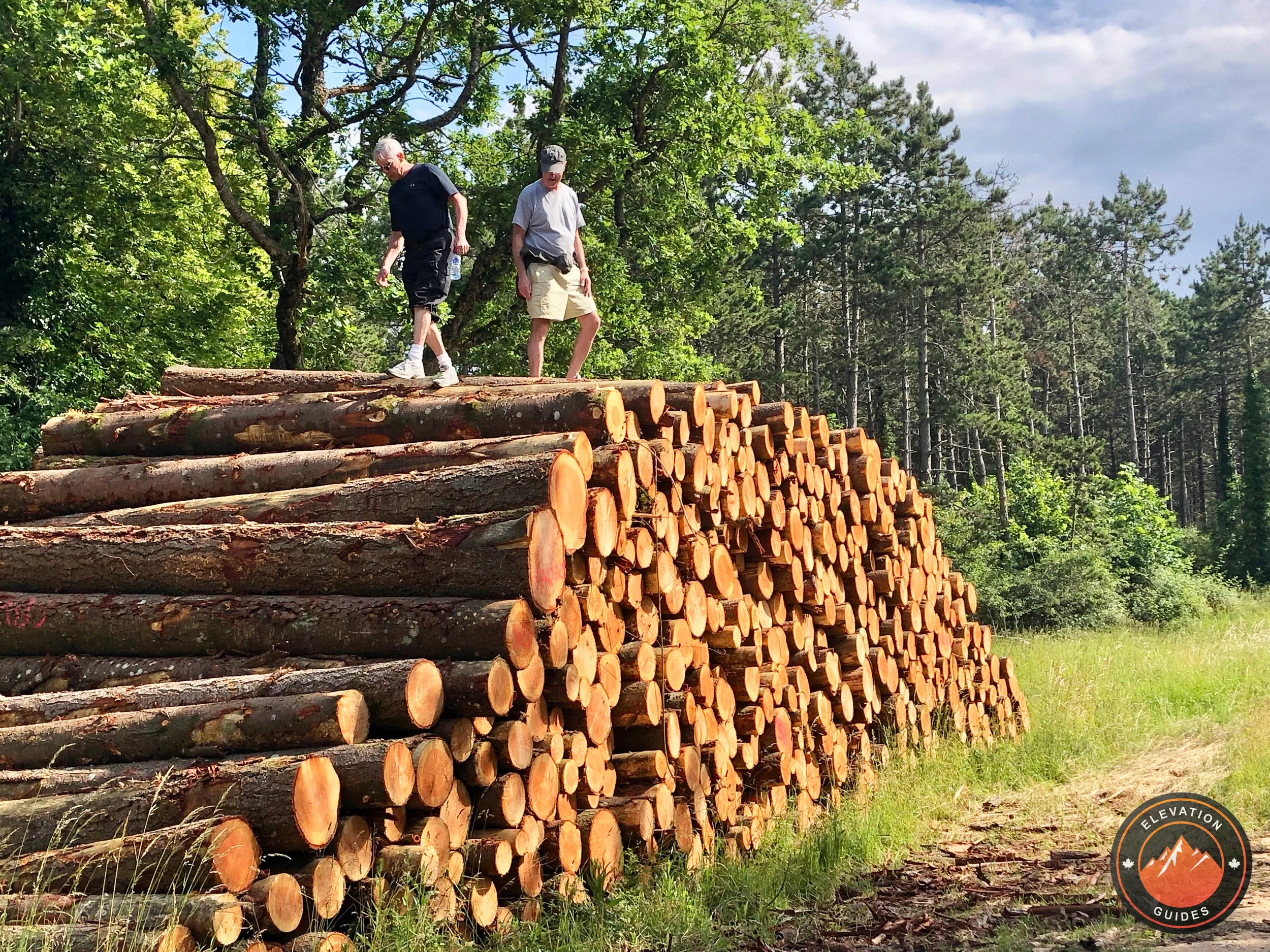 Elevation Guides Lyon > Dijon Jun 2019_18.jpeg
