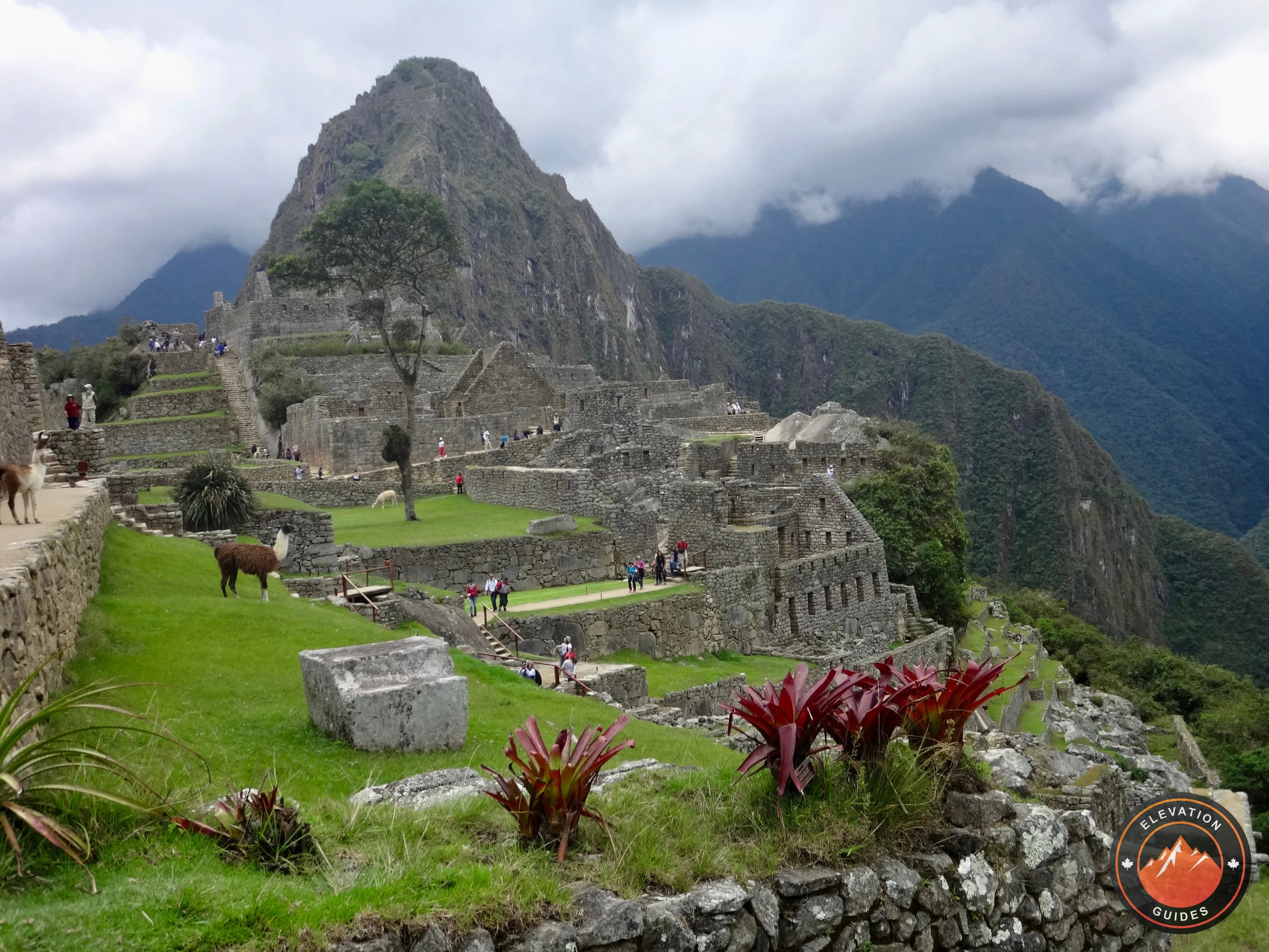 Elevation Guides Peru Nov 2017_140.jpeg