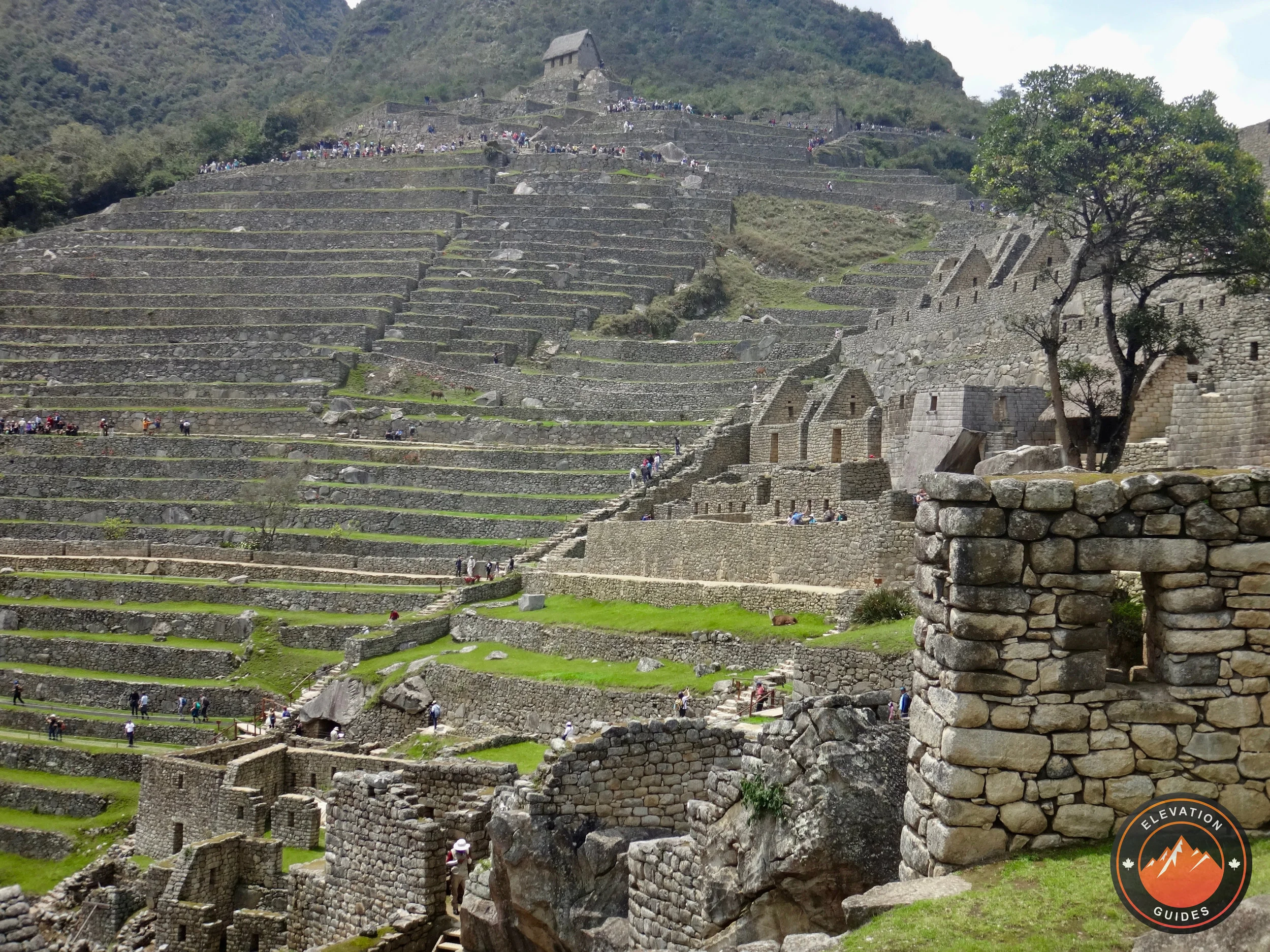 Elevation Guides Peru Nov 2017_133.jpeg