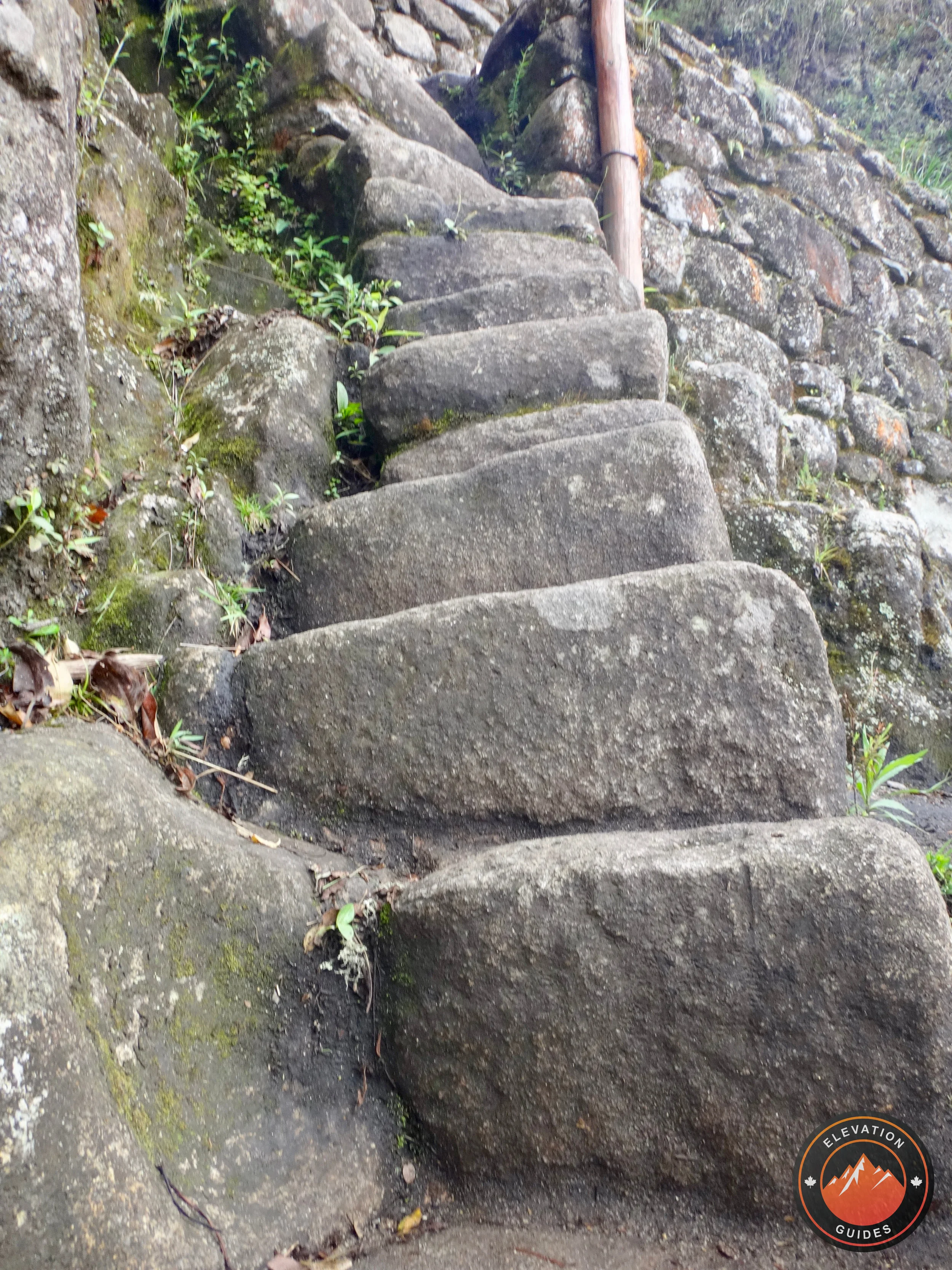 Elevation Guides Peru Nov 2017_115.jpeg