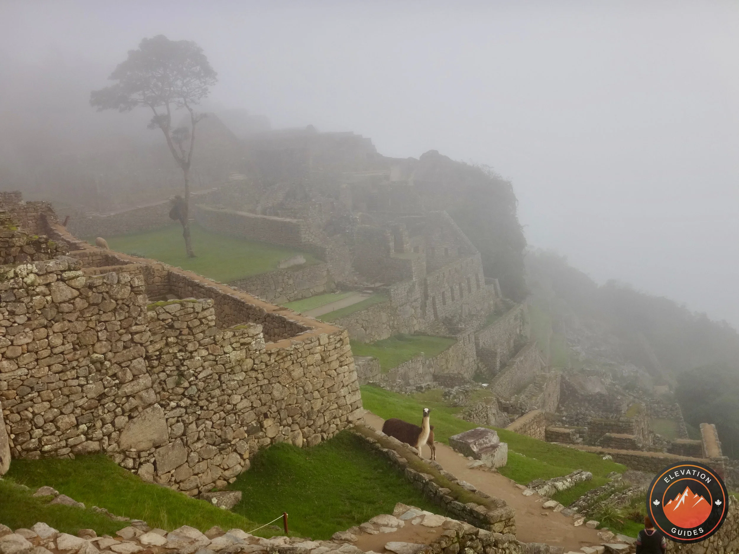 Elevation Guides Peru Nov 2017_112.jpeg