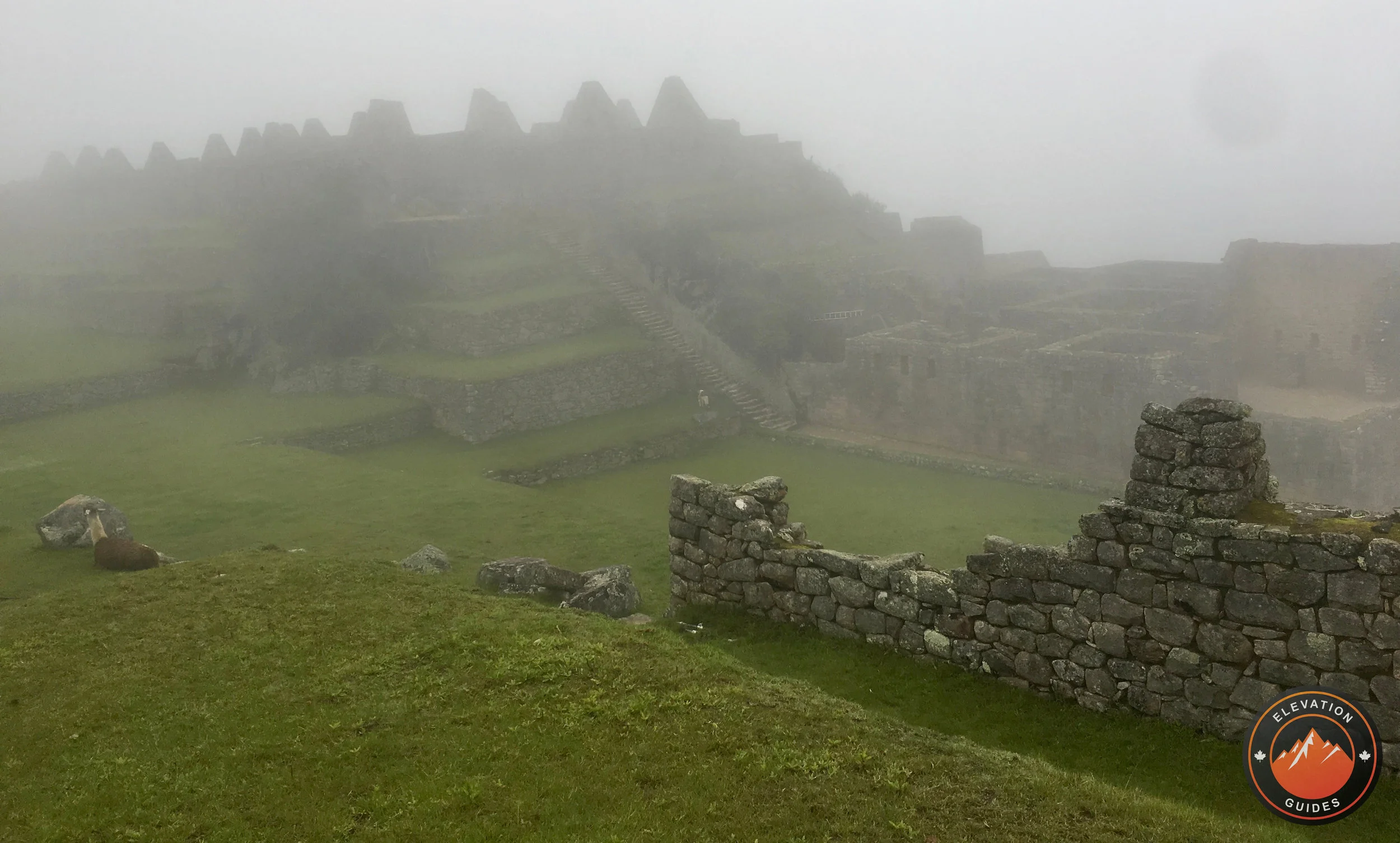 Elevation Guides Peru Nov 2017_58.jpeg