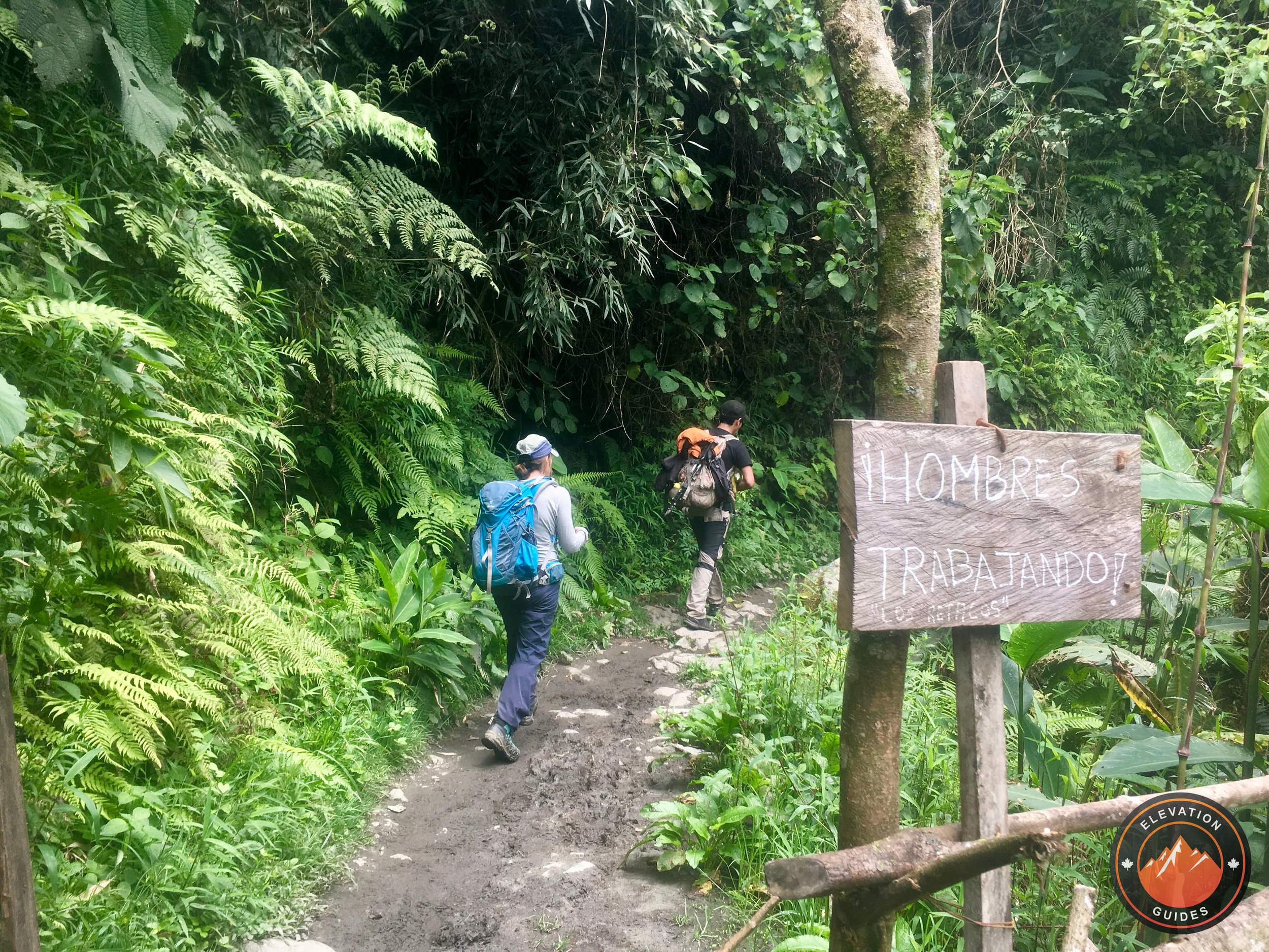 Elevation Guides Peru Nov 2017_52.jpeg