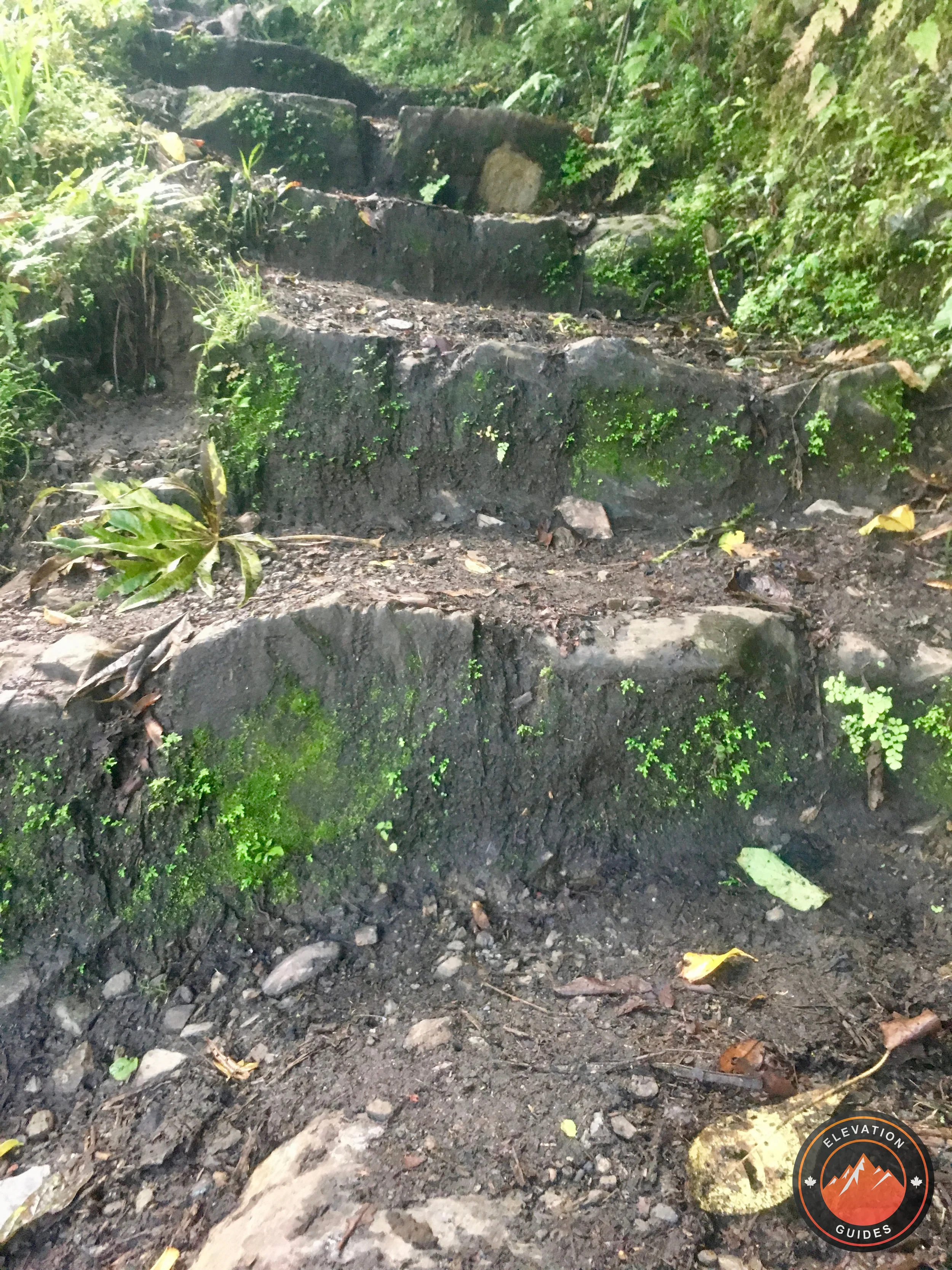 Elevation Guides Peru Nov 2017_25.jpeg