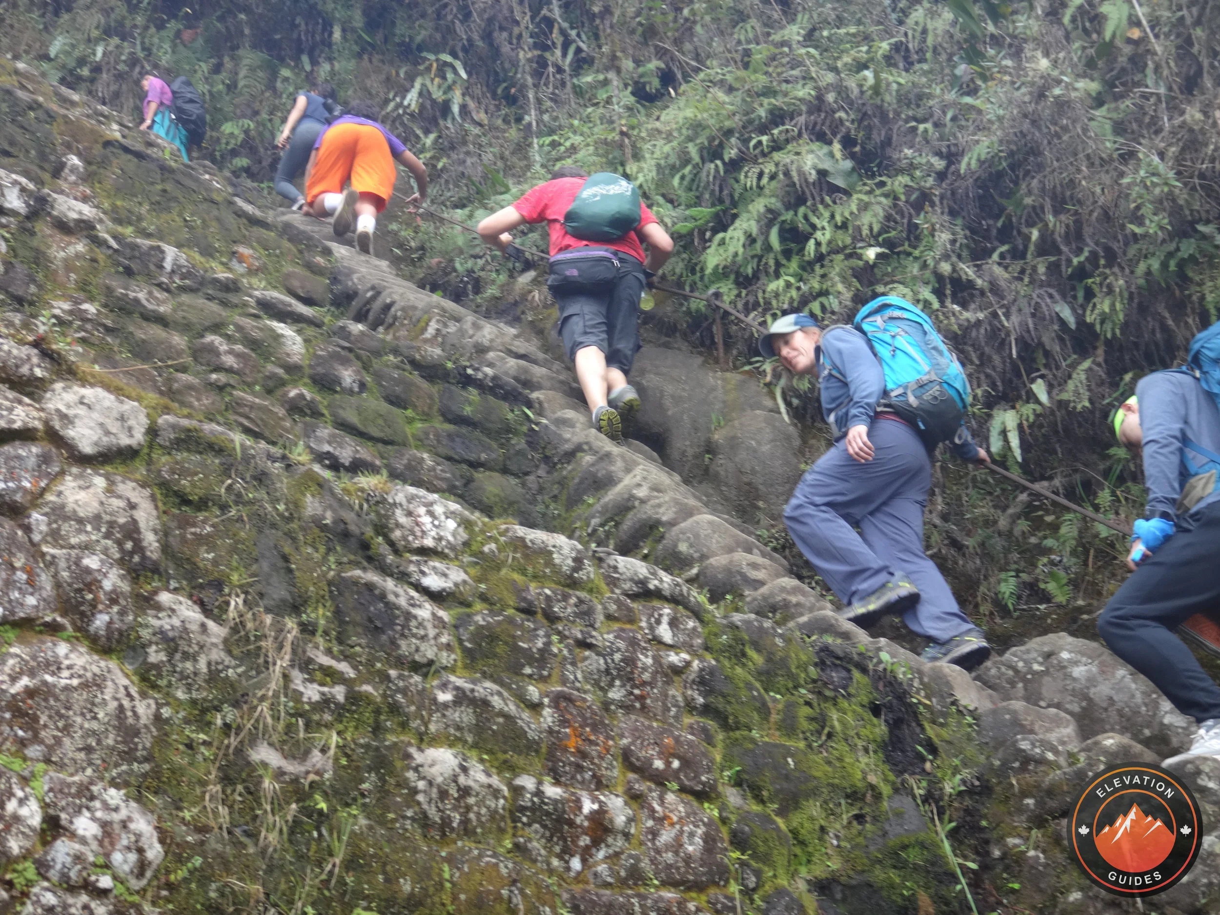 Elevation Guides Peru Nov 2017_6.jpg