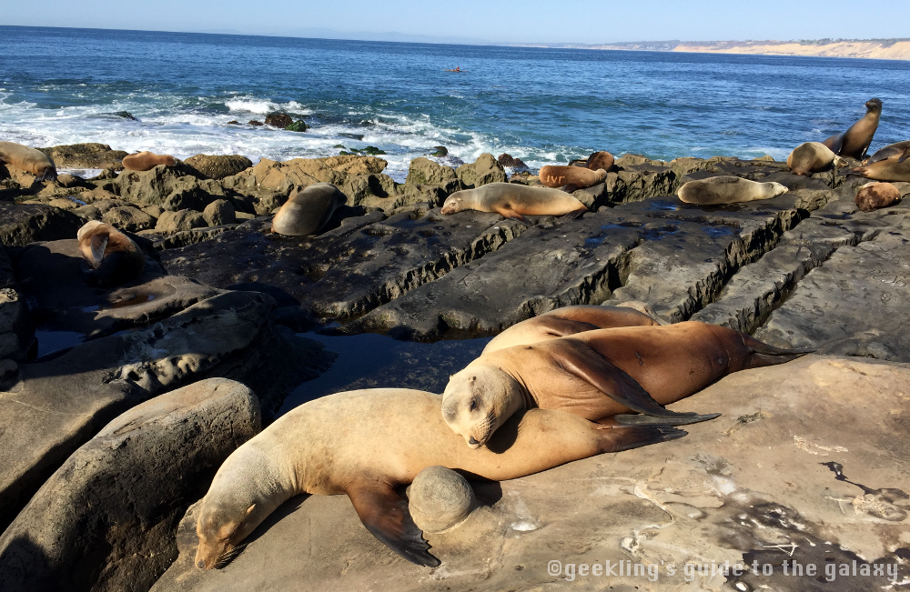 Point La Jolla