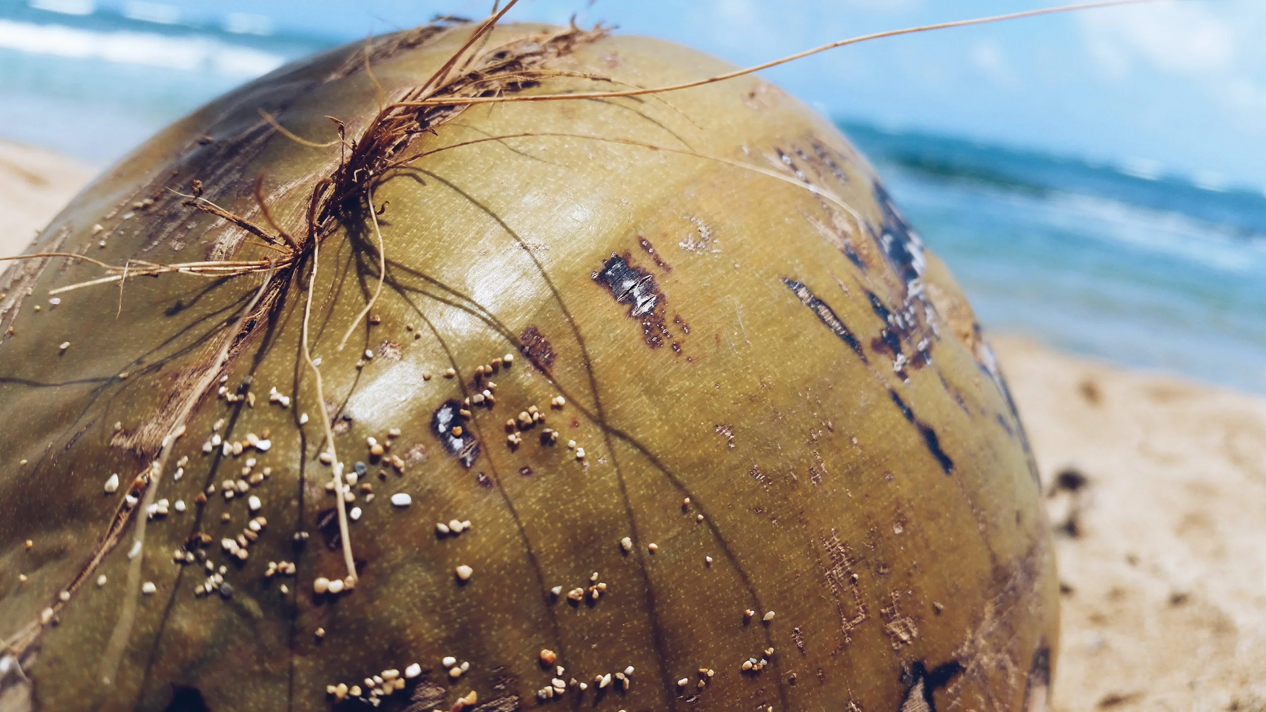 2016-10-15 06.47.47 1.jpg