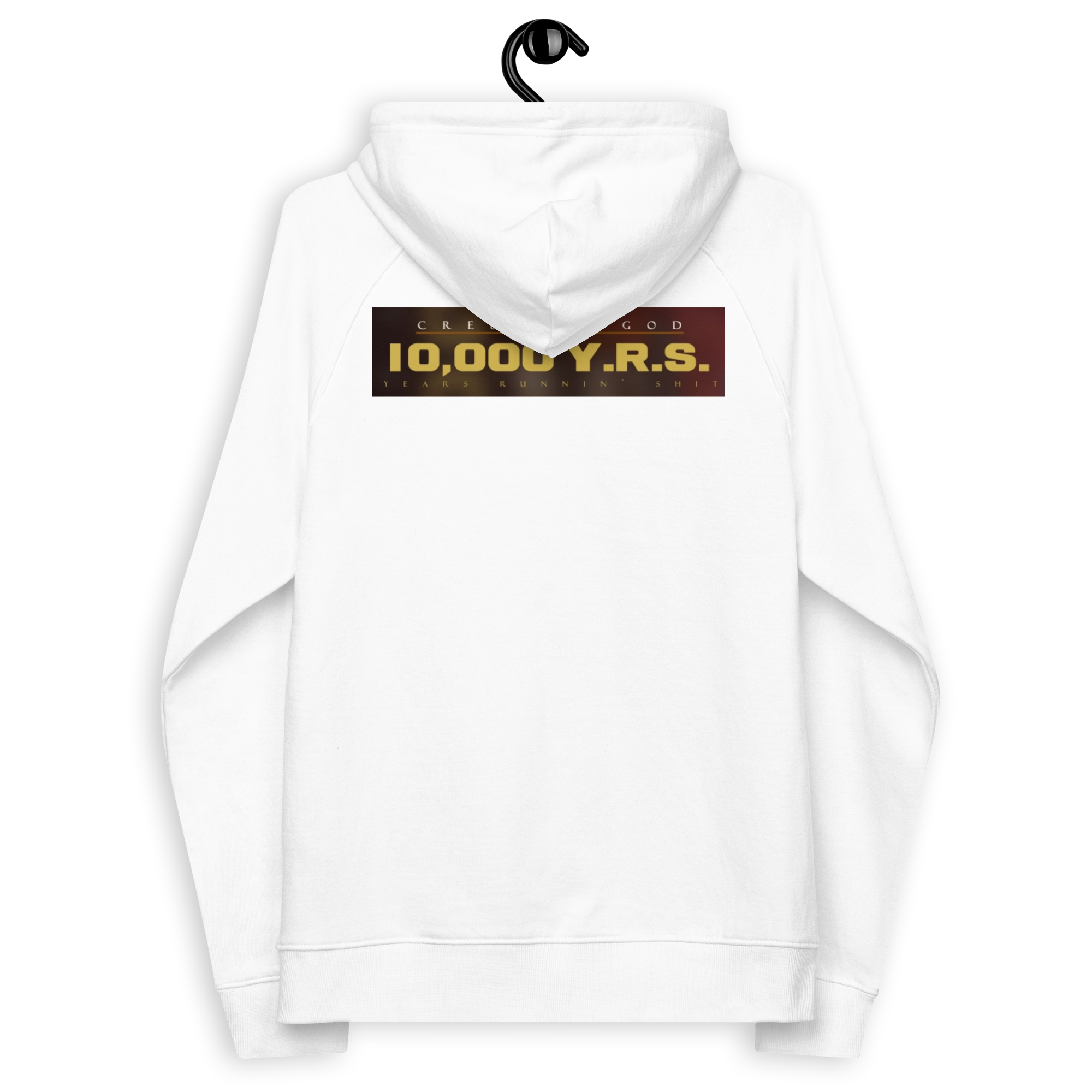 unisex-eco-raglan-hoodie-white-back-6393f2088b3ec.png